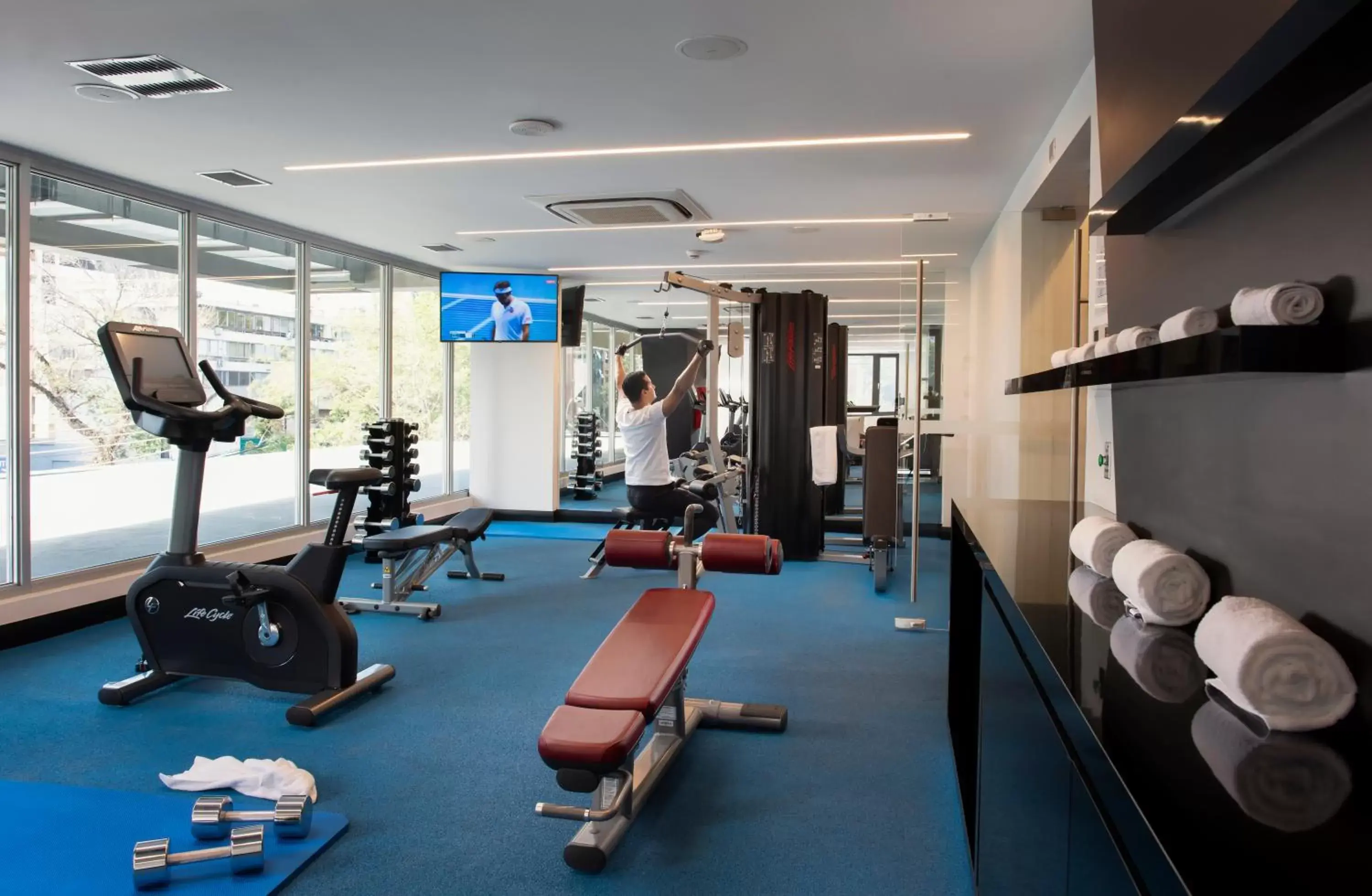 Fitness centre/facilities, Fitness Center/Facilities in Novotel Santiago Providencia