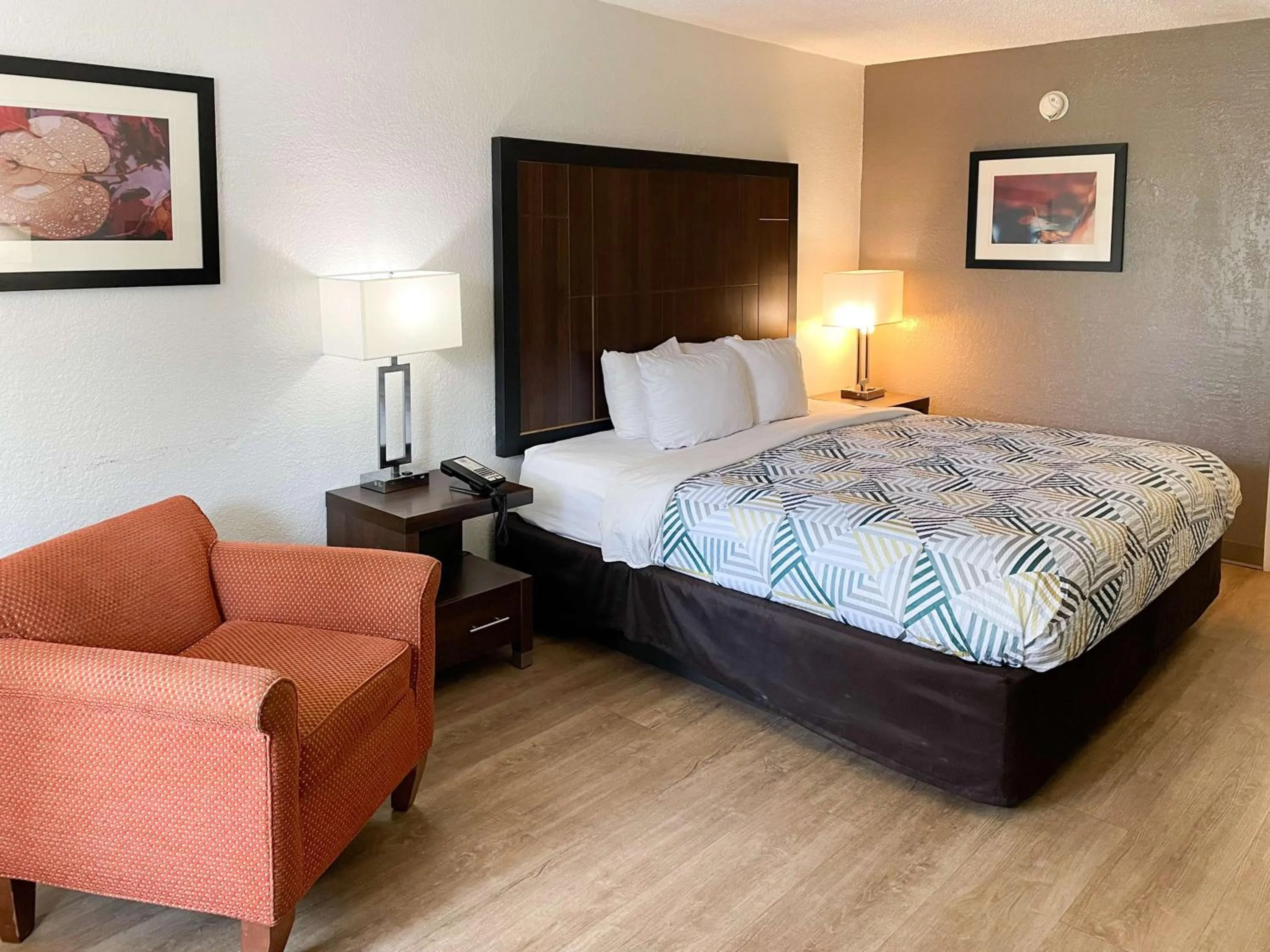 Bedroom, Bed in Motel 6 Opelika AL