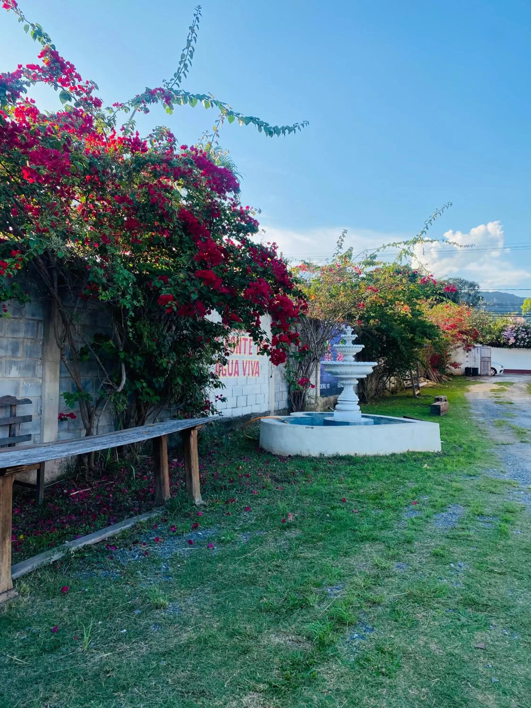 Garden in POUSADA CHARLOTTE