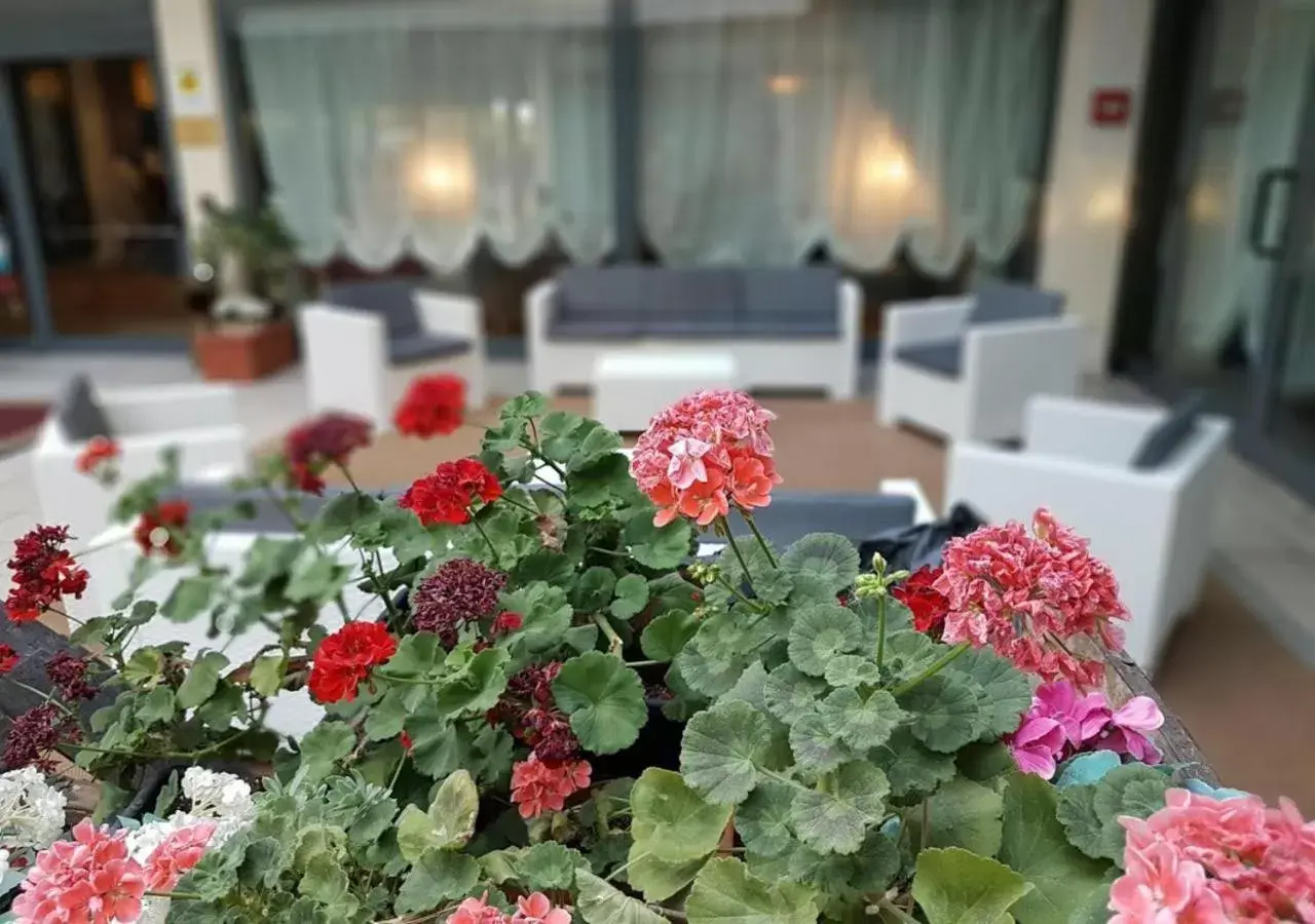 Facade/entrance in Hotel Orologio Facade/entrance in Hotel Orologio