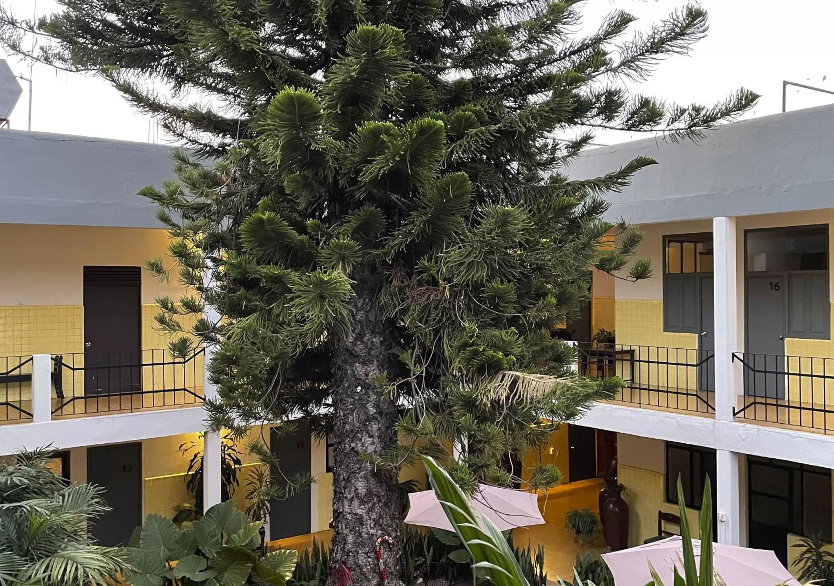 Balcony/Terrace in Hotel Allende Morelia