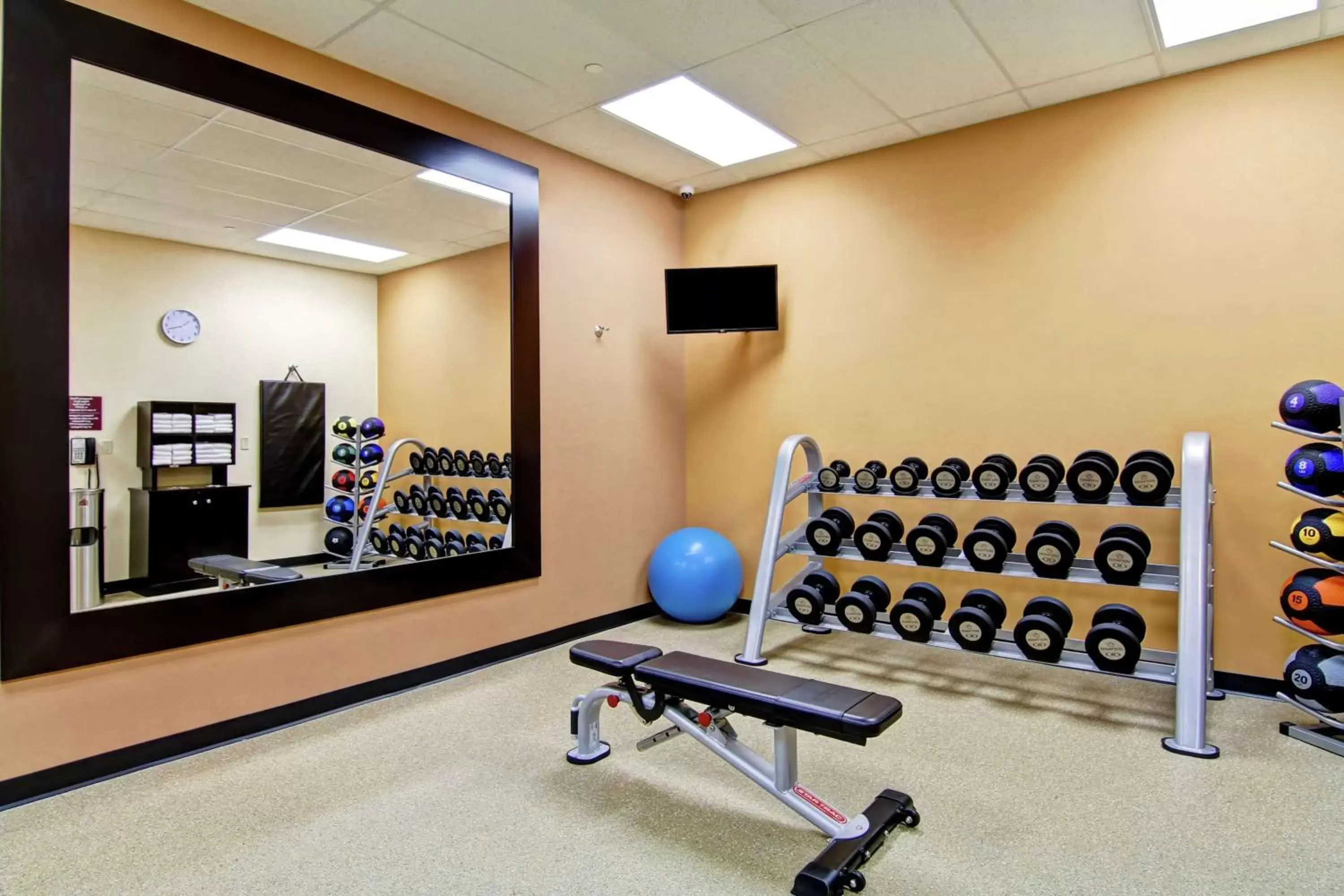 Fitness centre/facilities, Fitness Center/Facilities in Hilton Garden Inn Ottawa Airport