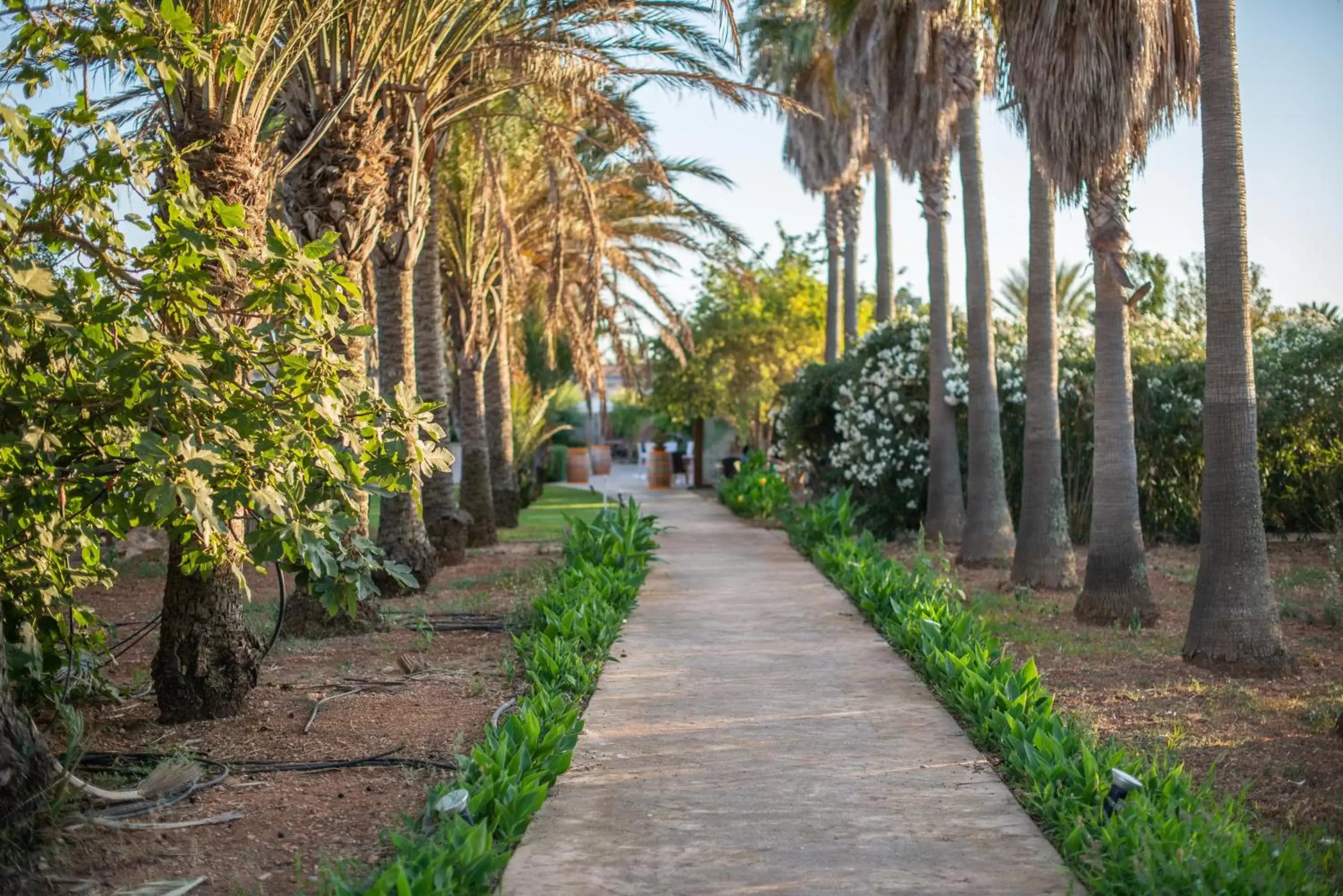 Garden in Finca Hotel Can Canals & Spa