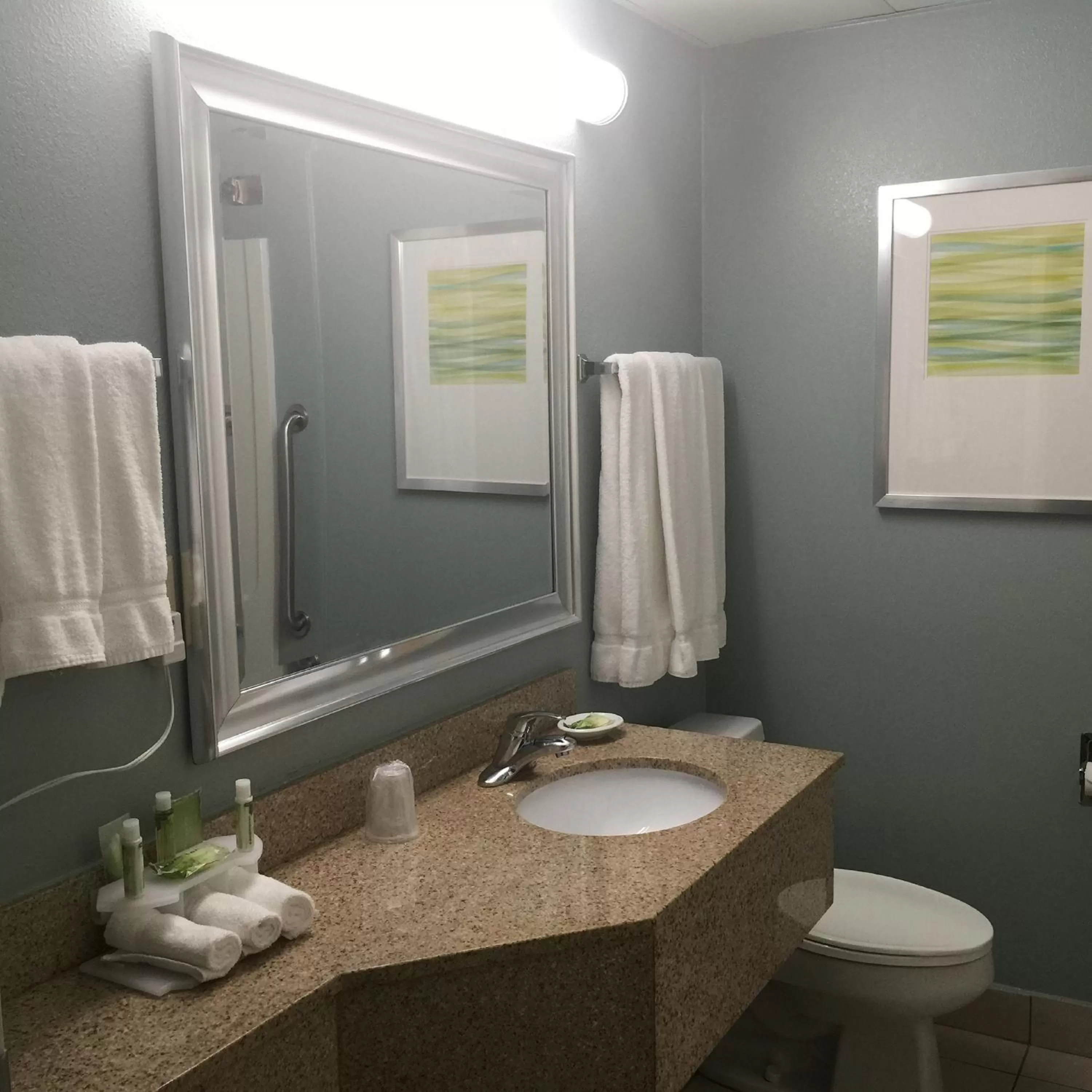 Bathroom in Baymont Inn & Suites Braselton