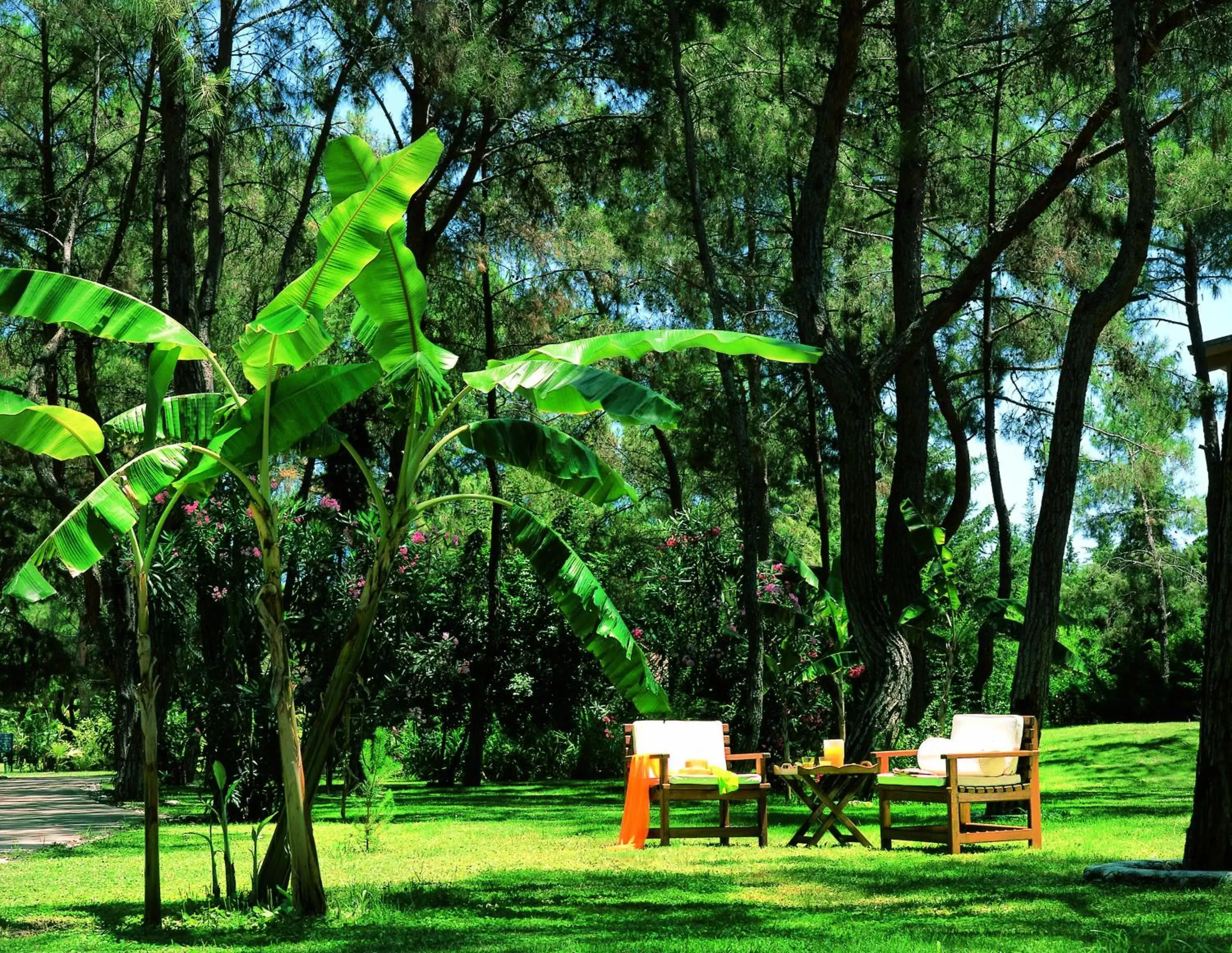 Natural landscape, Garden in Martı Myra