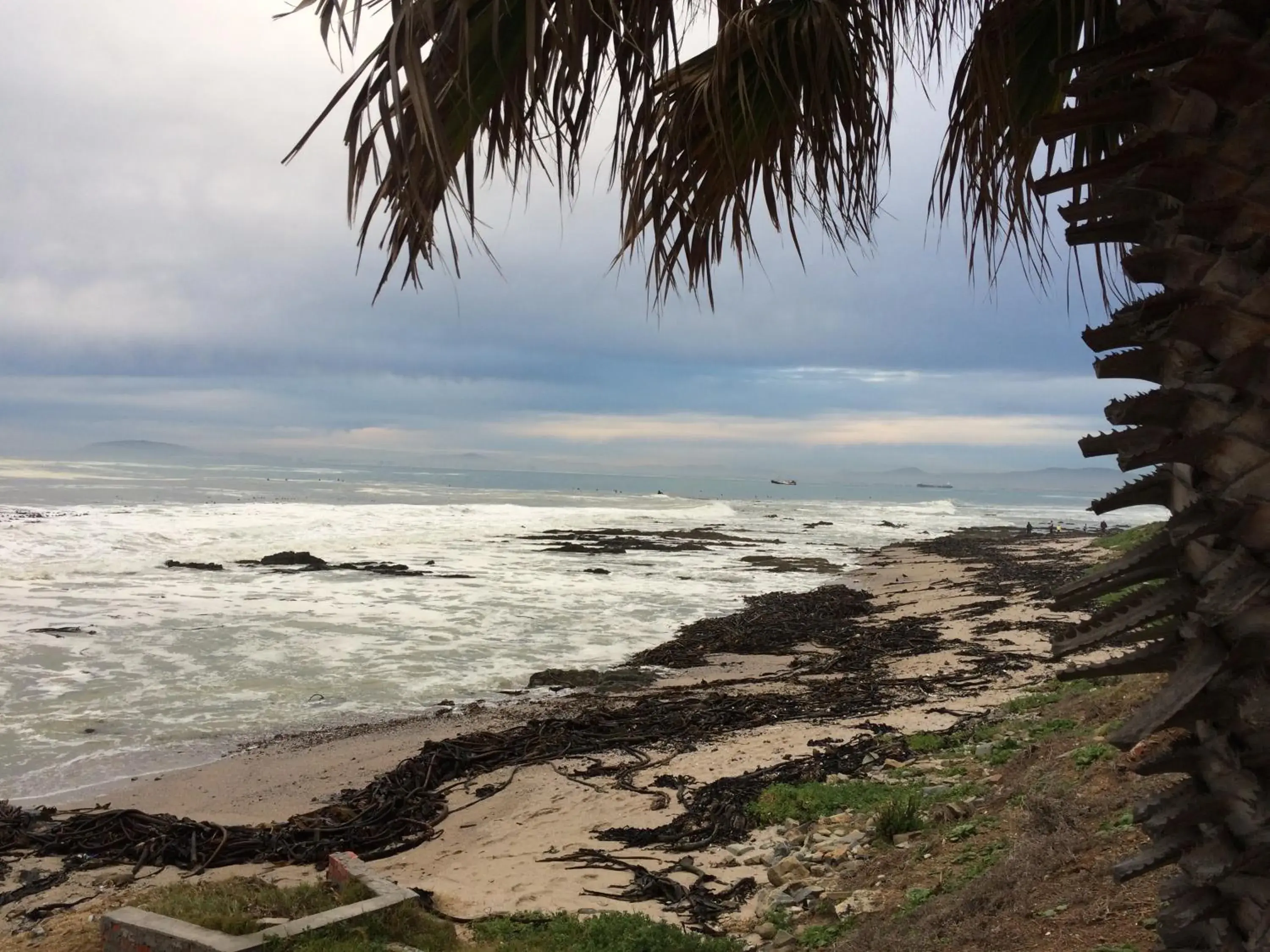 Beach in Dolphin Inn Guesthouse