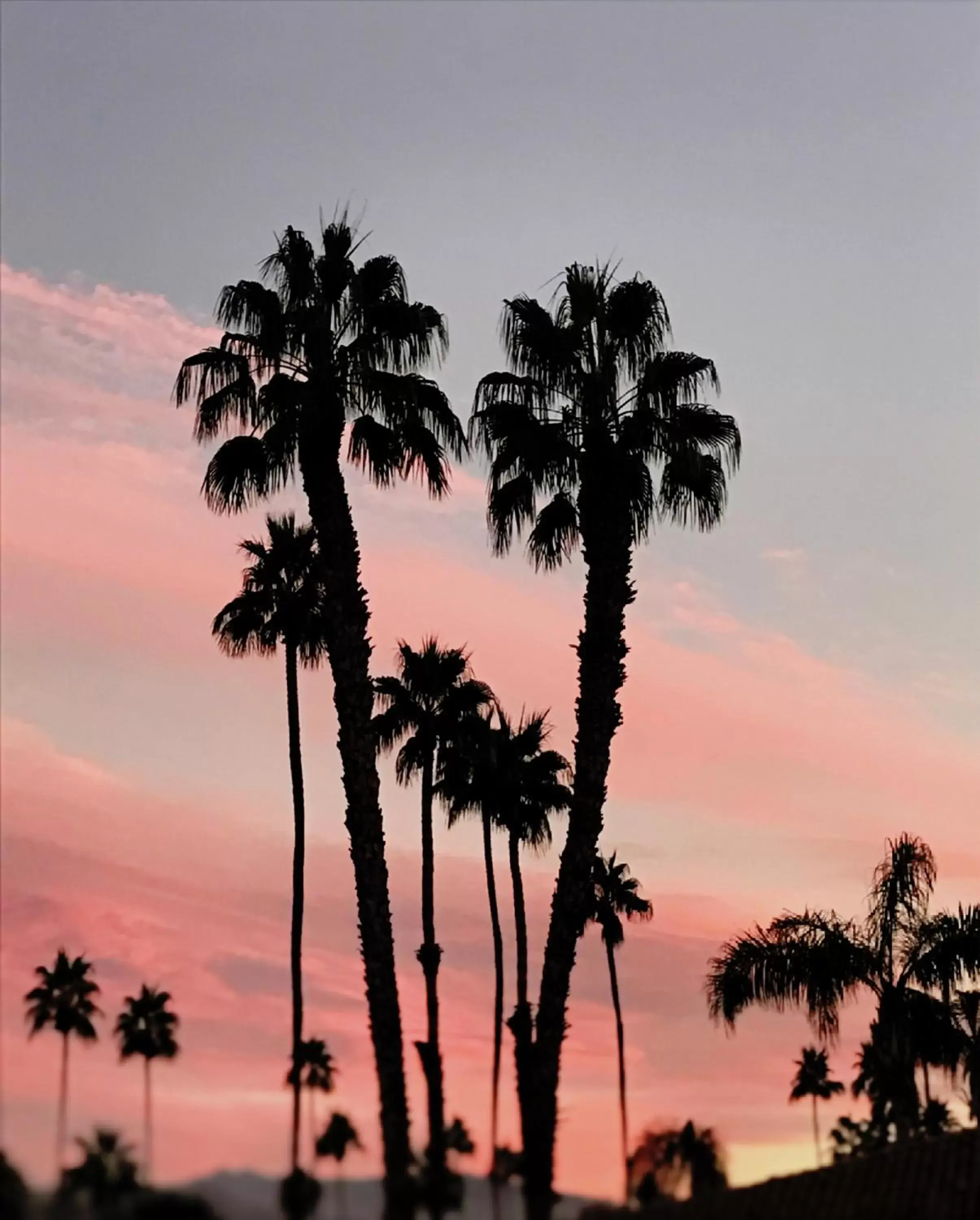 View (from property/room), Sunrise/Sunset in Delos Reyes Palm Springs