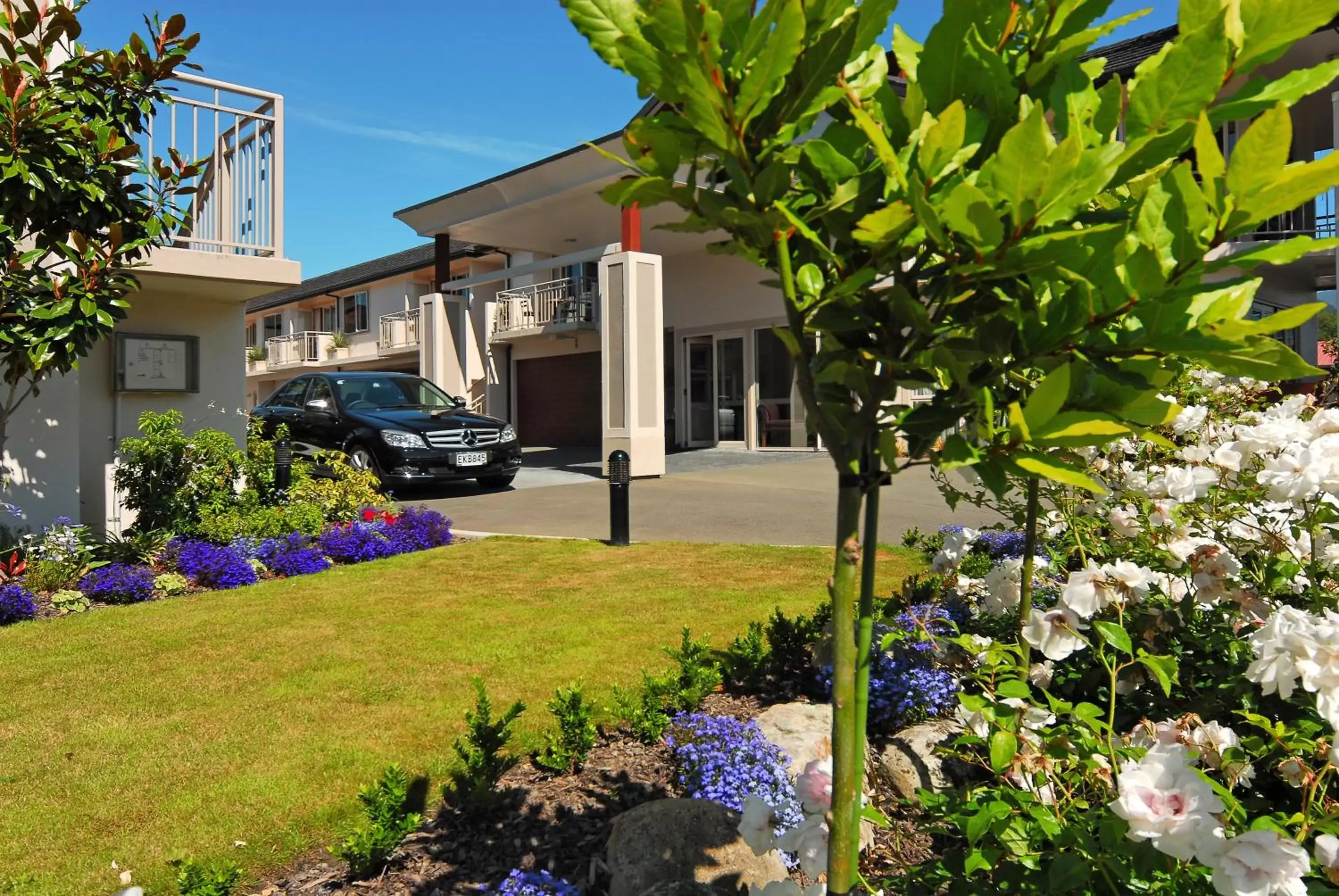 Garden, Property Building in Cedar Grove Motor Lodge