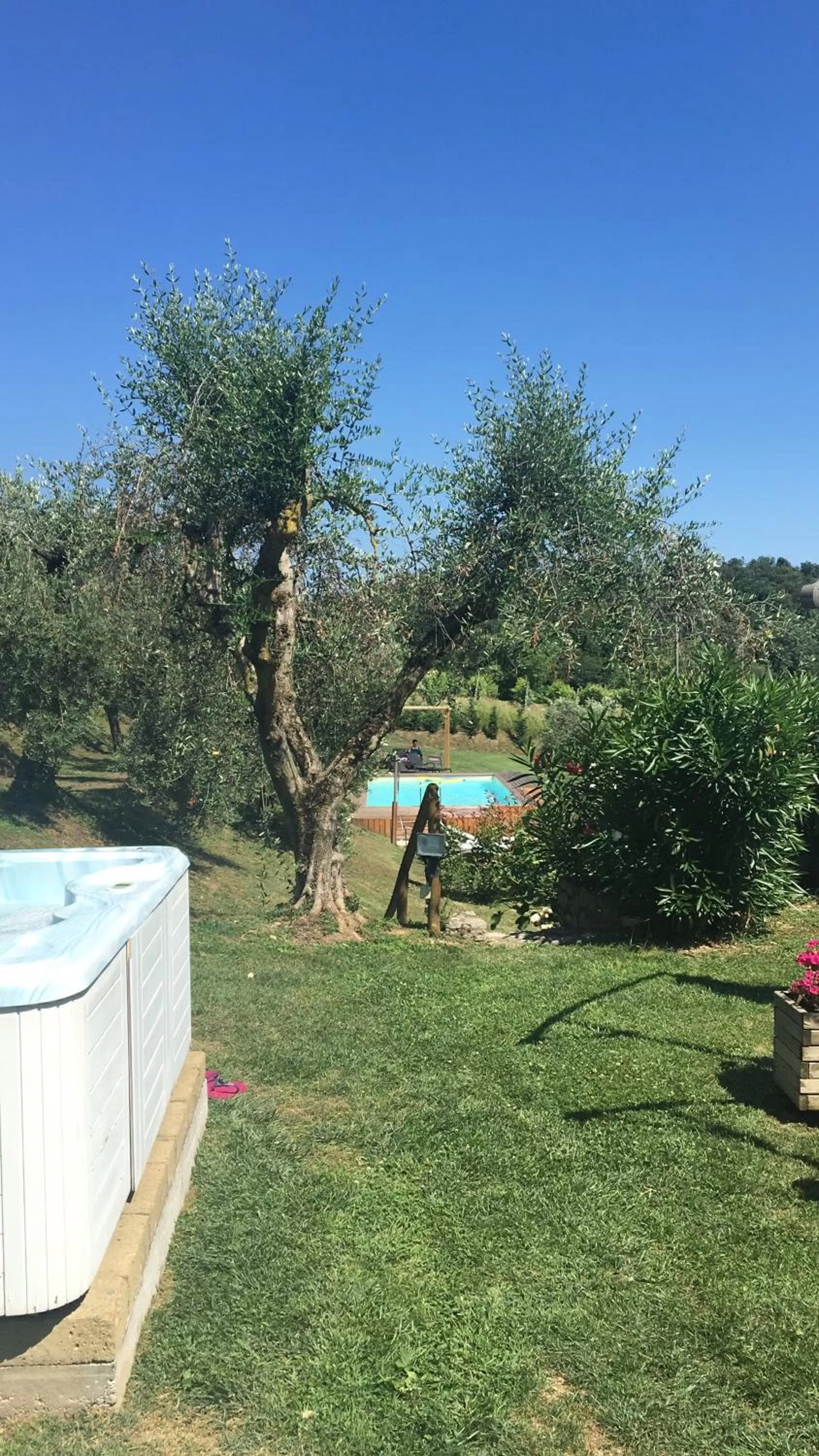 Swimming Pool in B&B Sovenigo