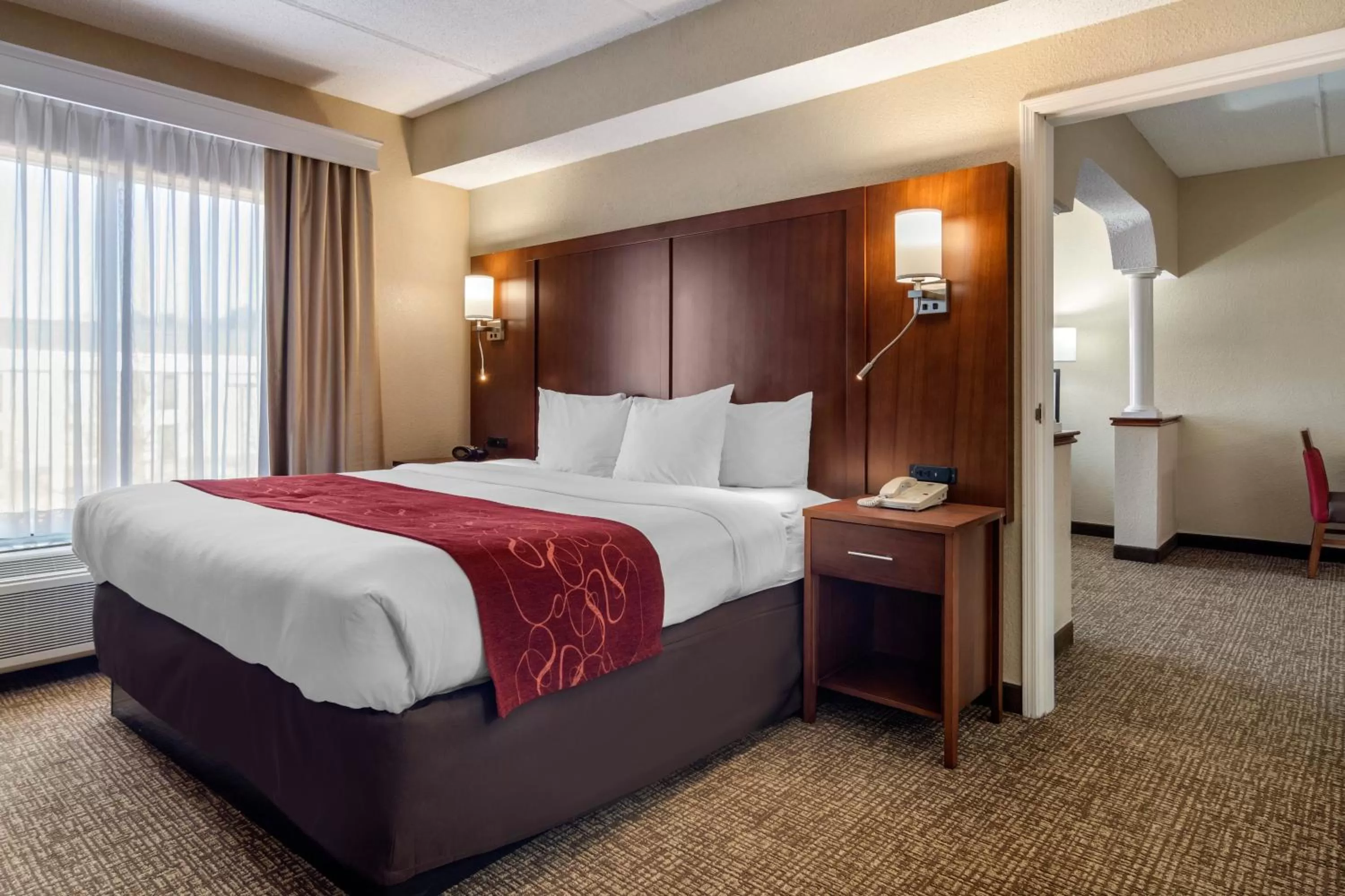 Executive King Suite - Non-Smoking in Comfort Suites Woodstock - Atlanta North