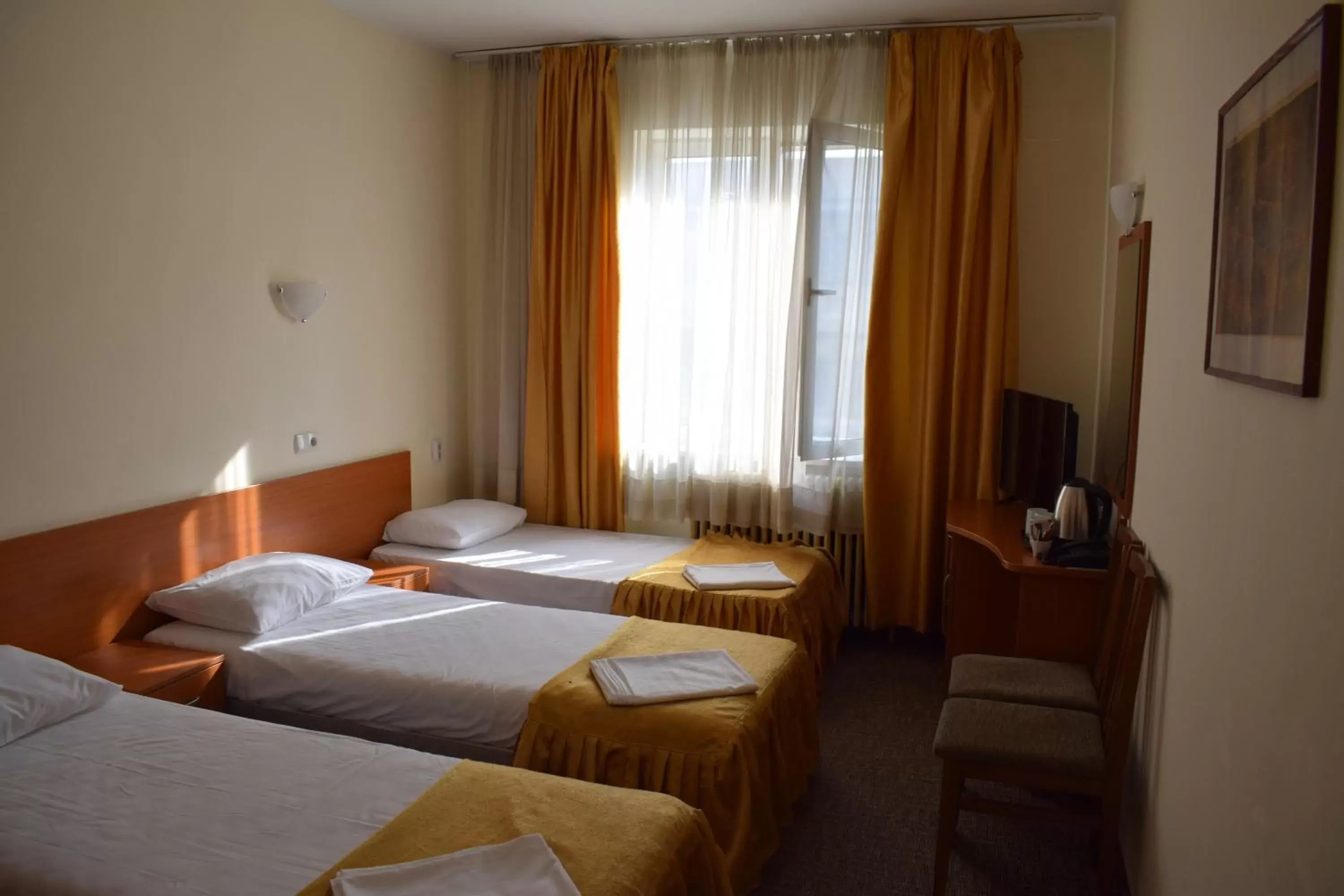 Communal lounge/ TV room, Bed in Slavyanska Beseda Hotel