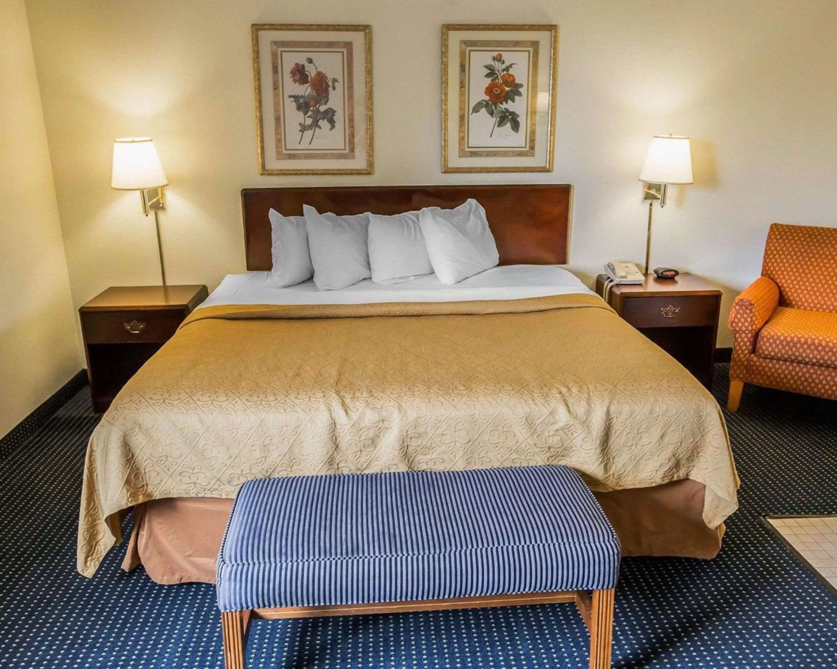 Photo of the whole room, Bed in Quality Inn Dundee