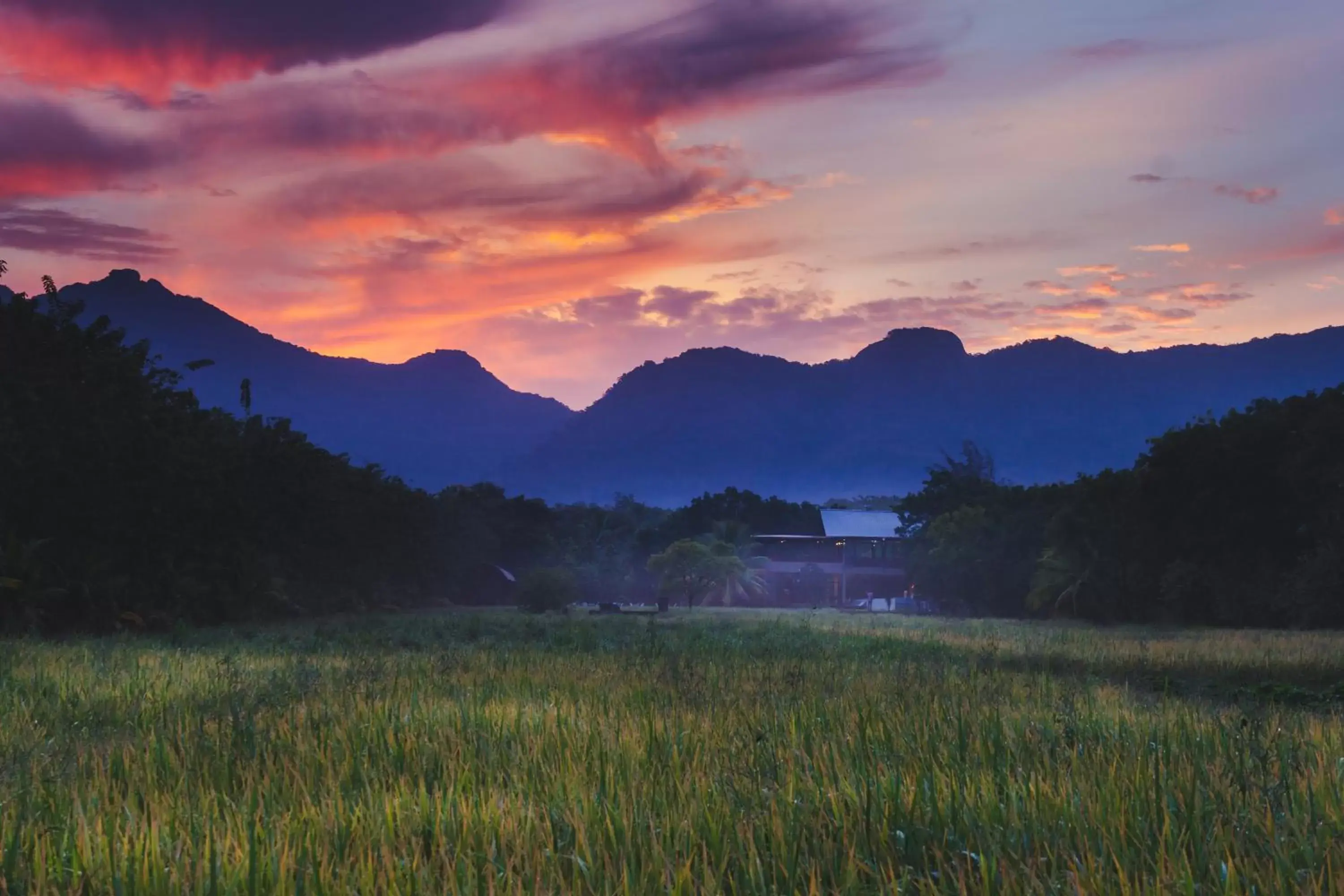 Natural Landscape in Sigiriana Resort by Thilanka