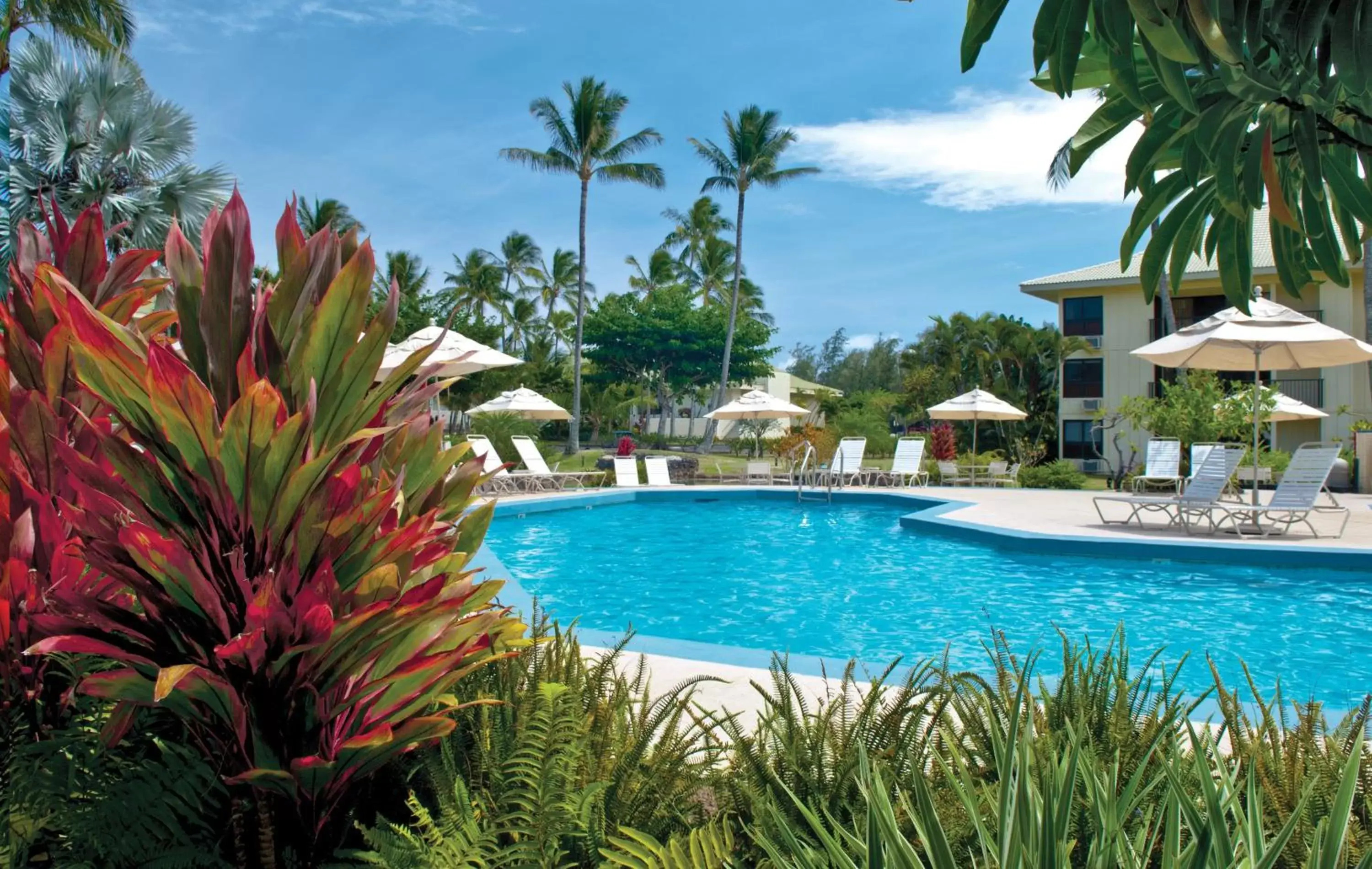 Swimming pool in Kauai Beach Villas