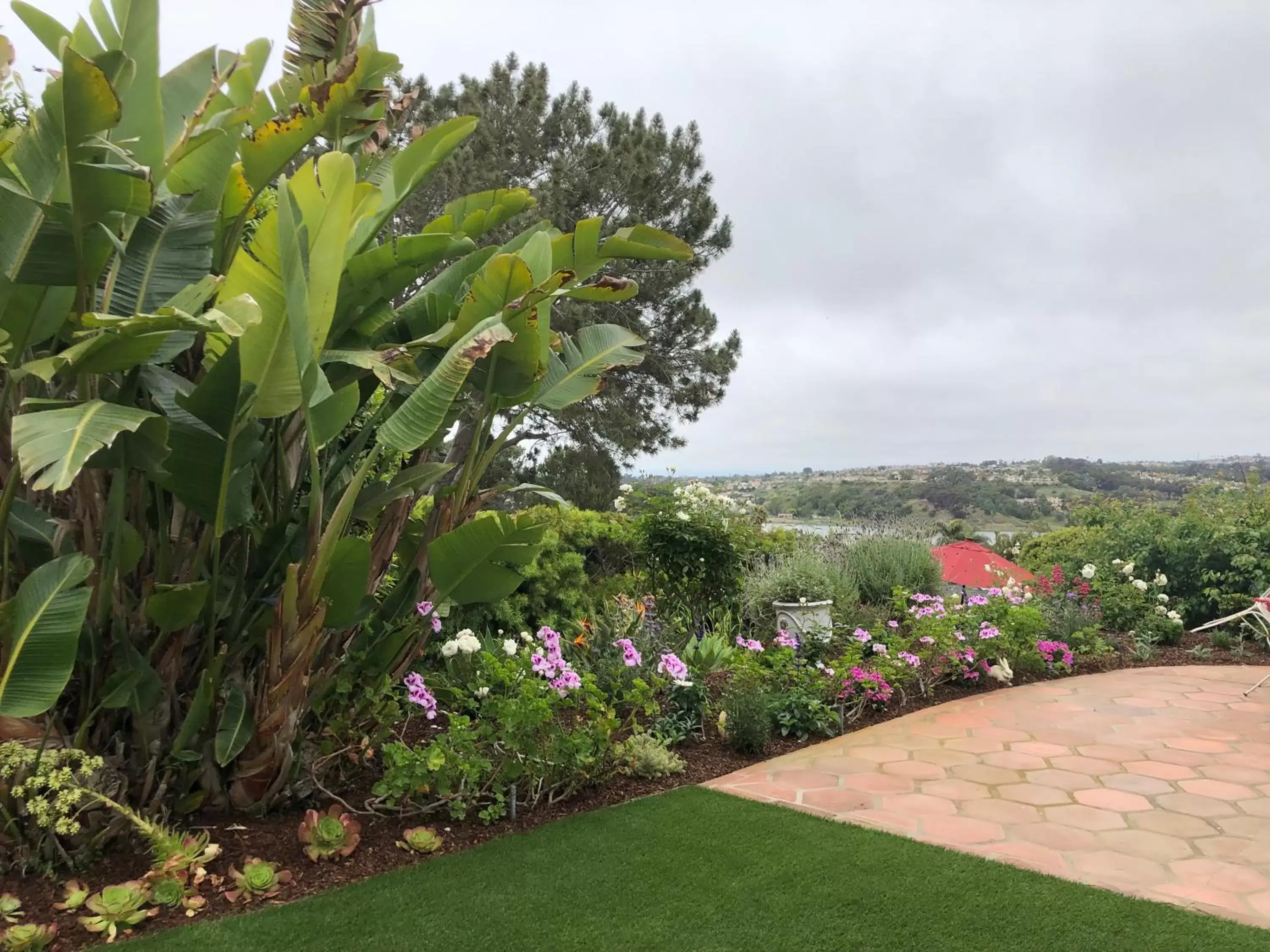 Garden in Kate Stanton Inn