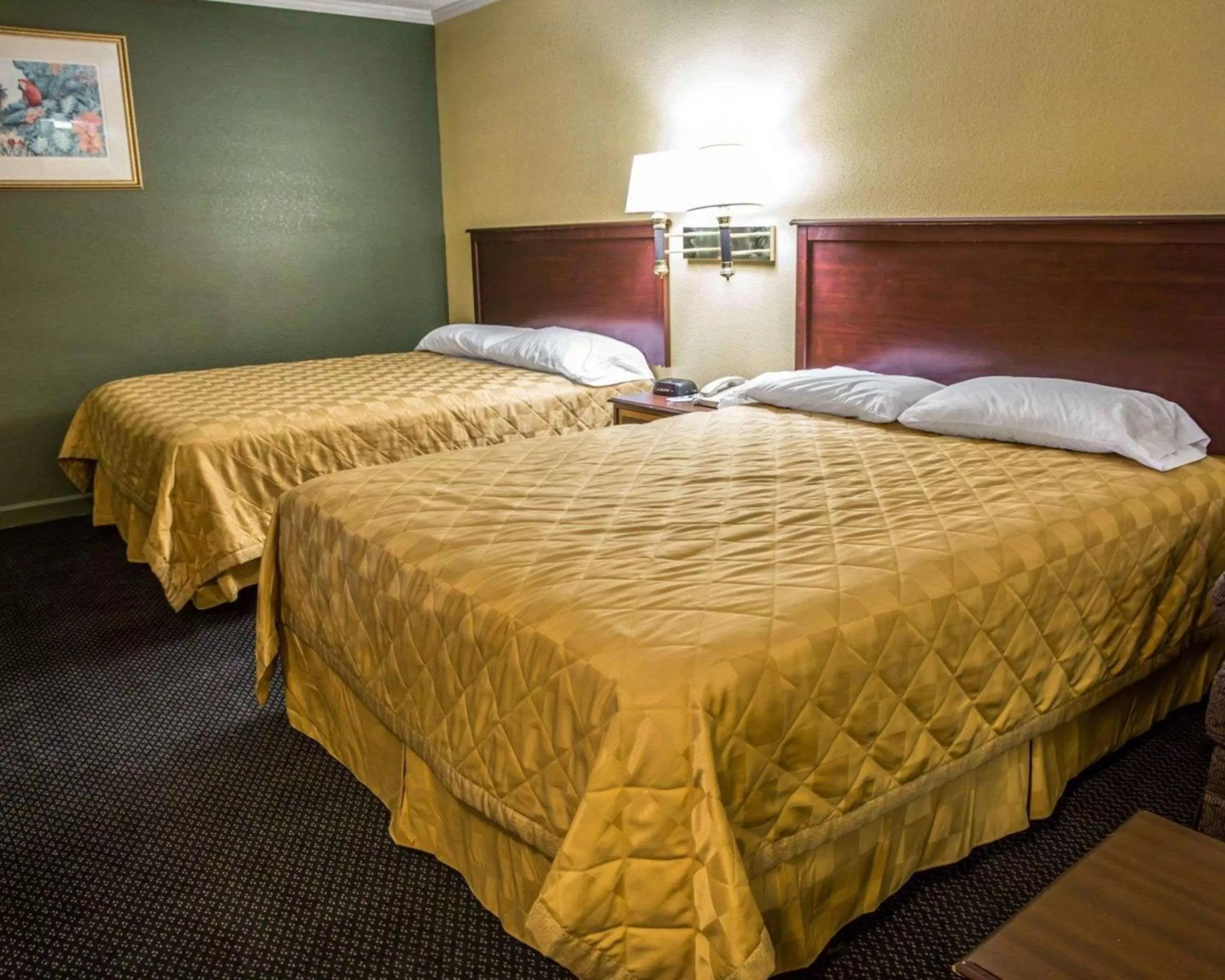 Photo of the whole room, Bed in Rodeway Inn & Suites Plymouth Hwy 64