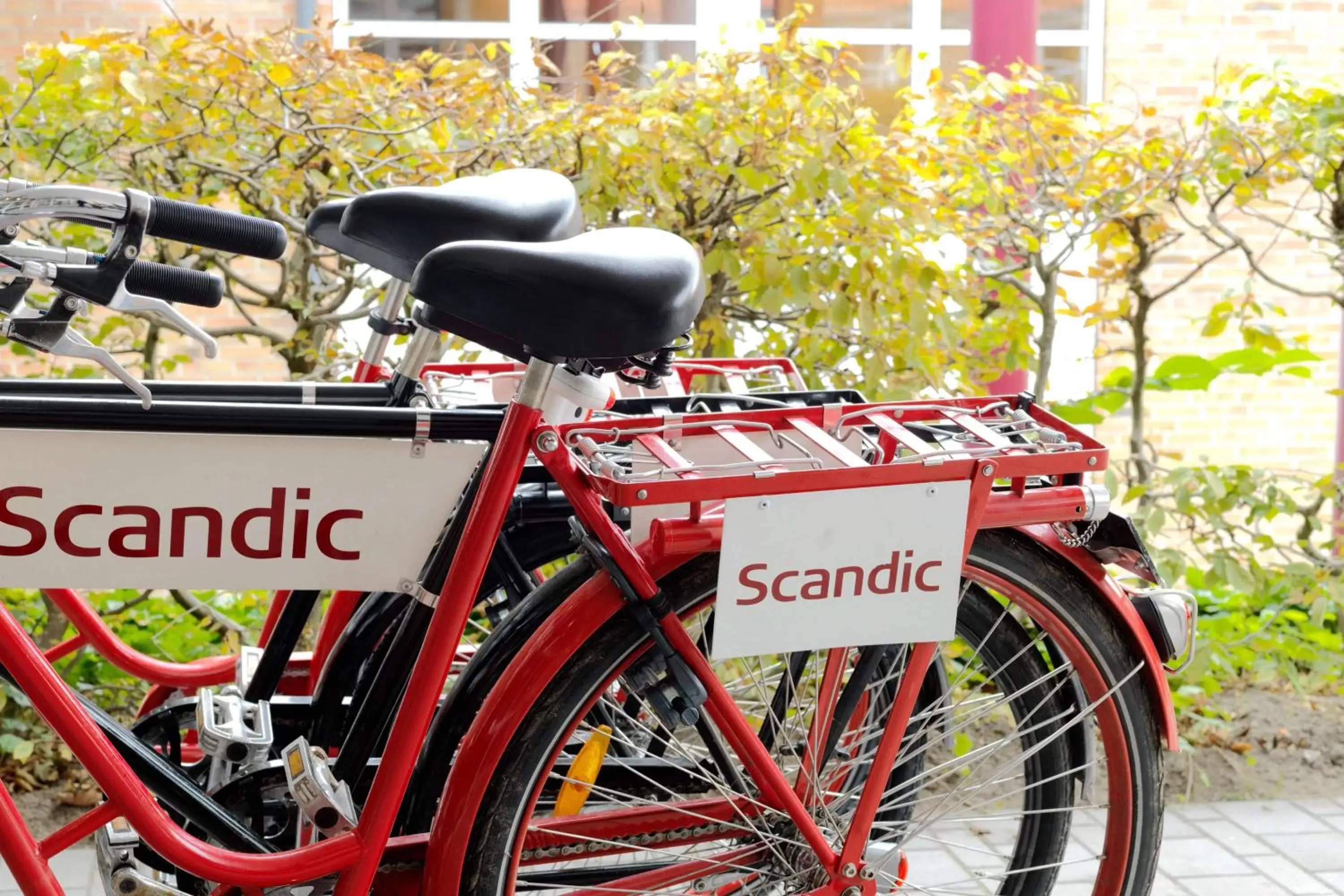 Cycling, Biking in Scandic Stortorget
