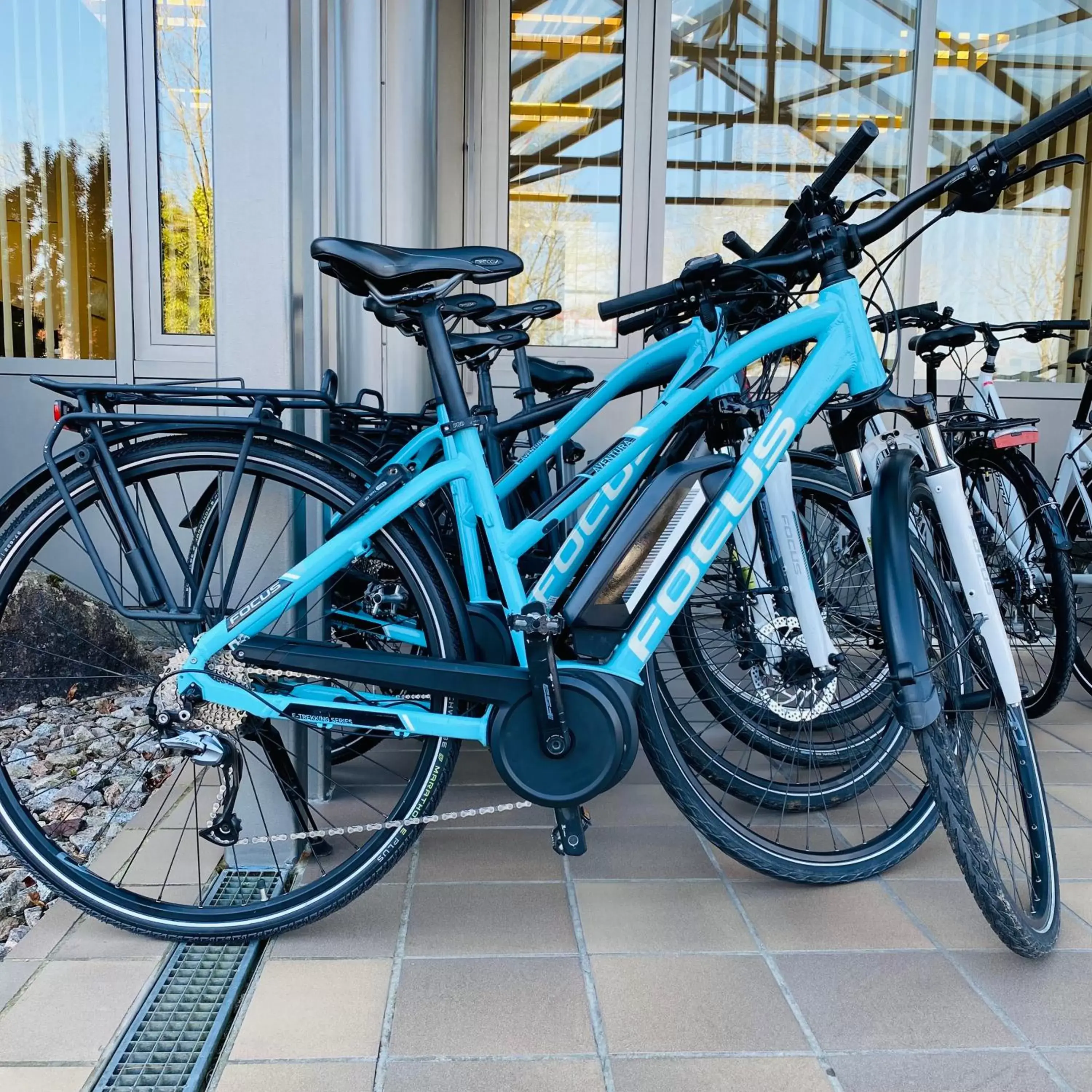 Cycling, Biking in Parkhotel Bad Zurzach