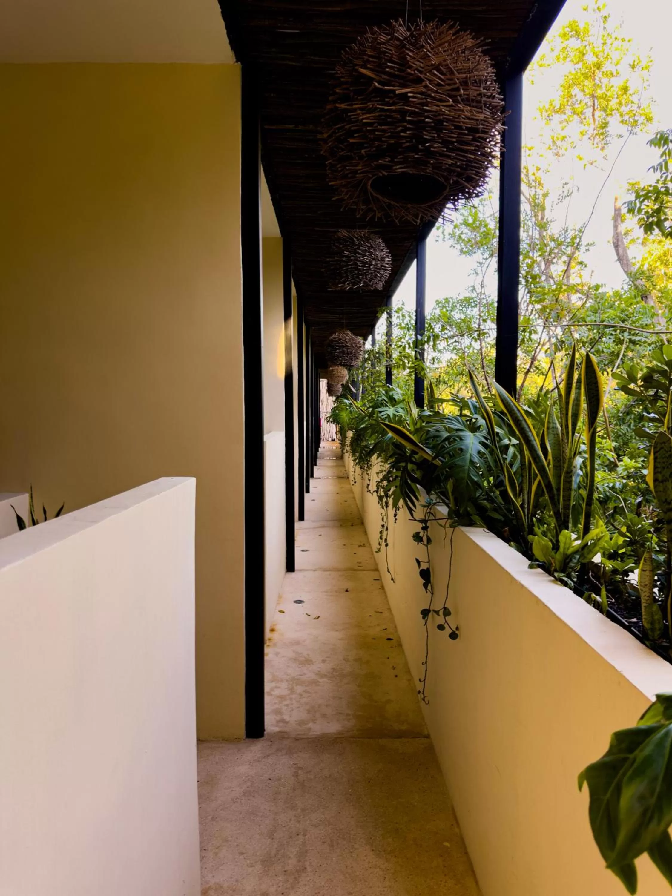 Balcony/Terrace in Kuukum Tulum Hotel