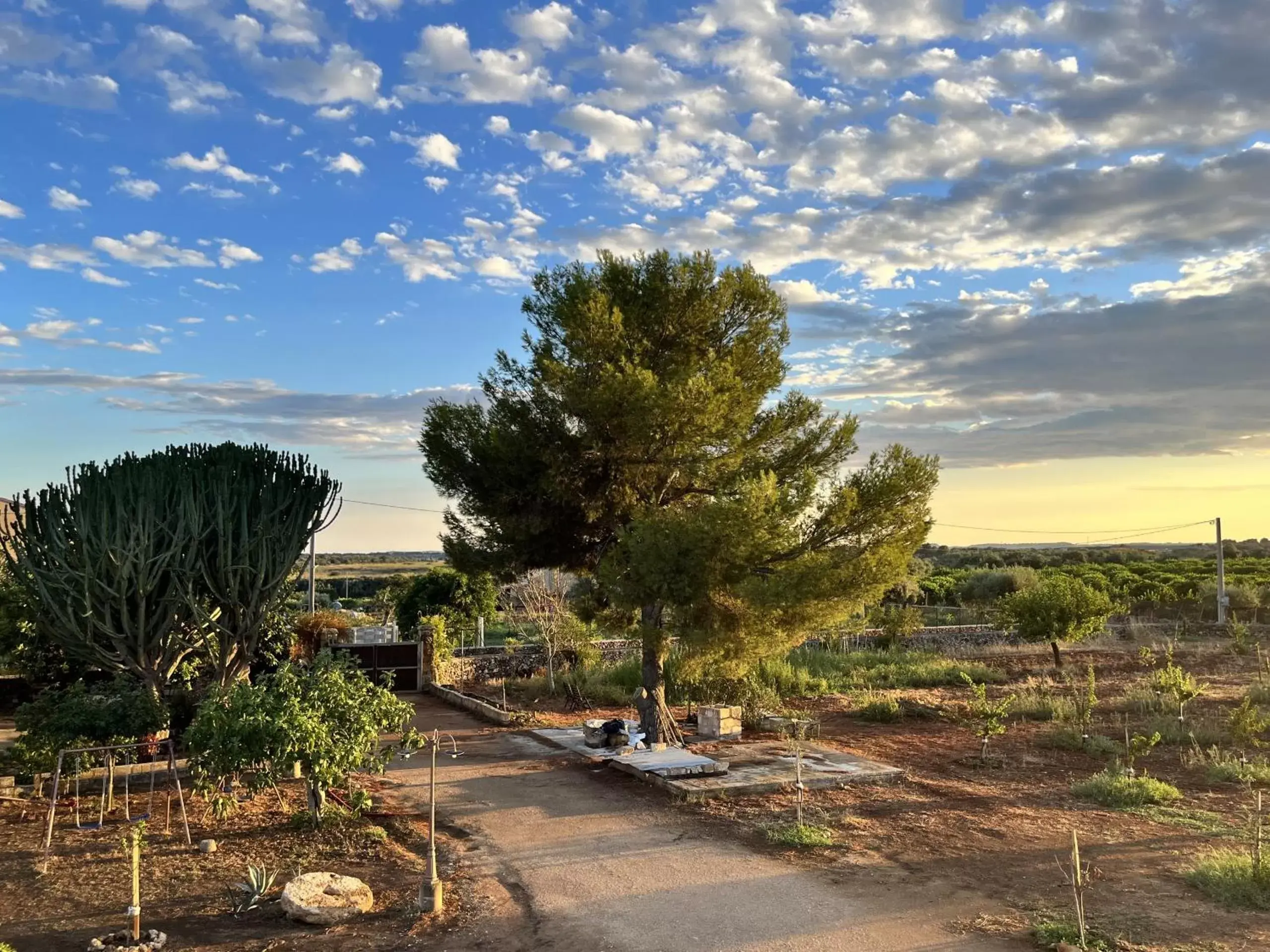 Garden in CasapiuHolidaySicilia-Adults Only