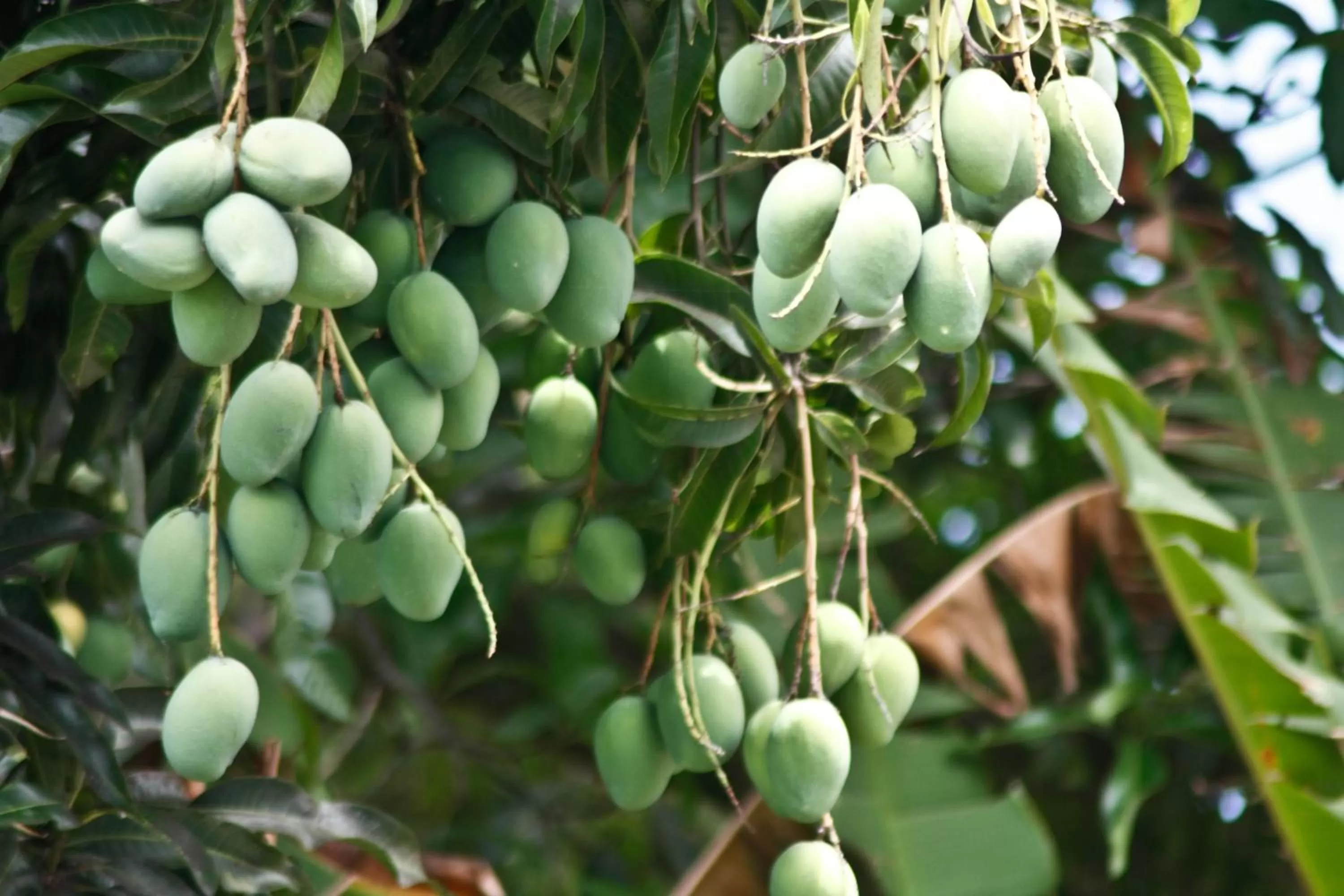 Natural landscape in Rio Escondido