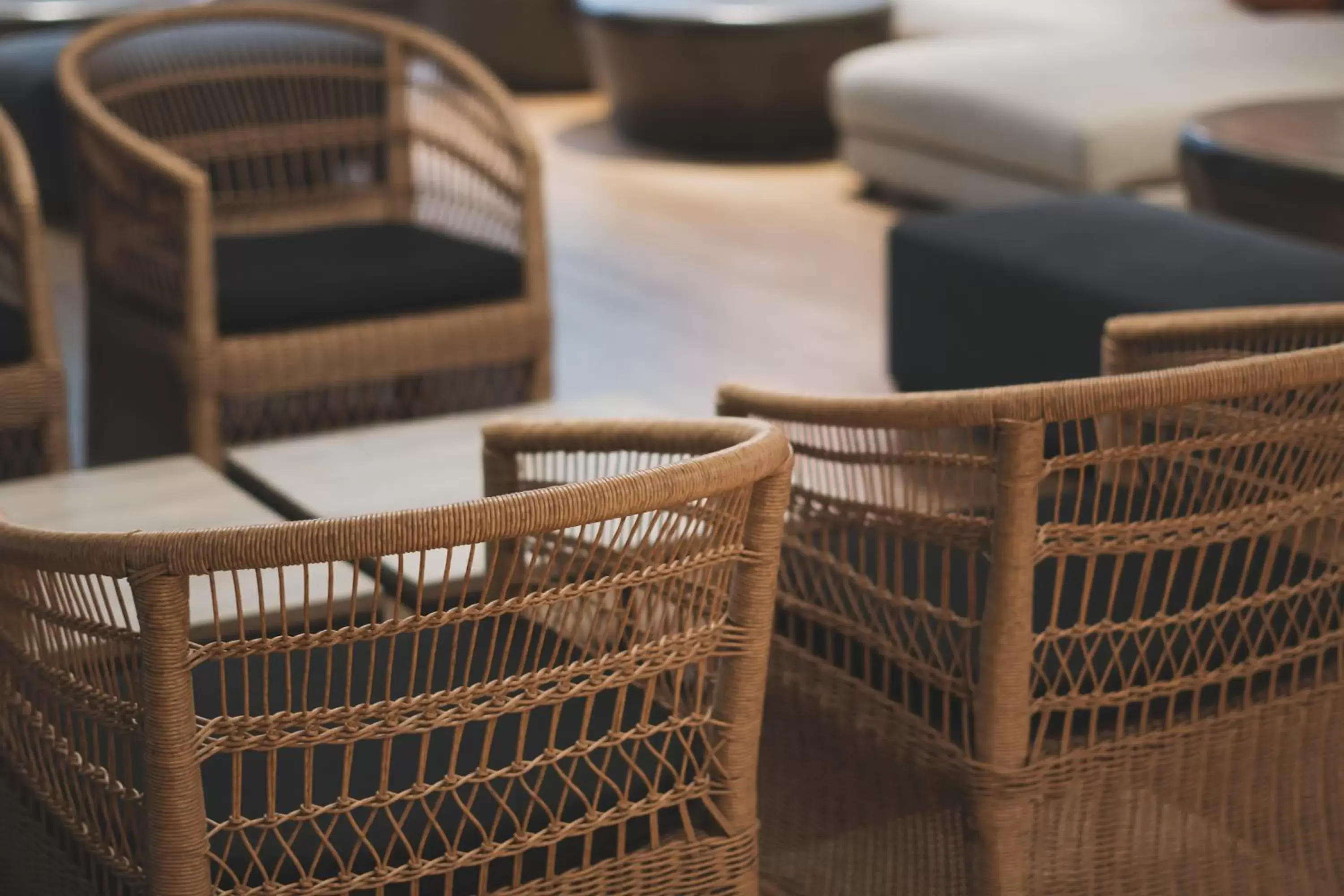 Living room in Zenit Abeba Living room in Zenit Abeba