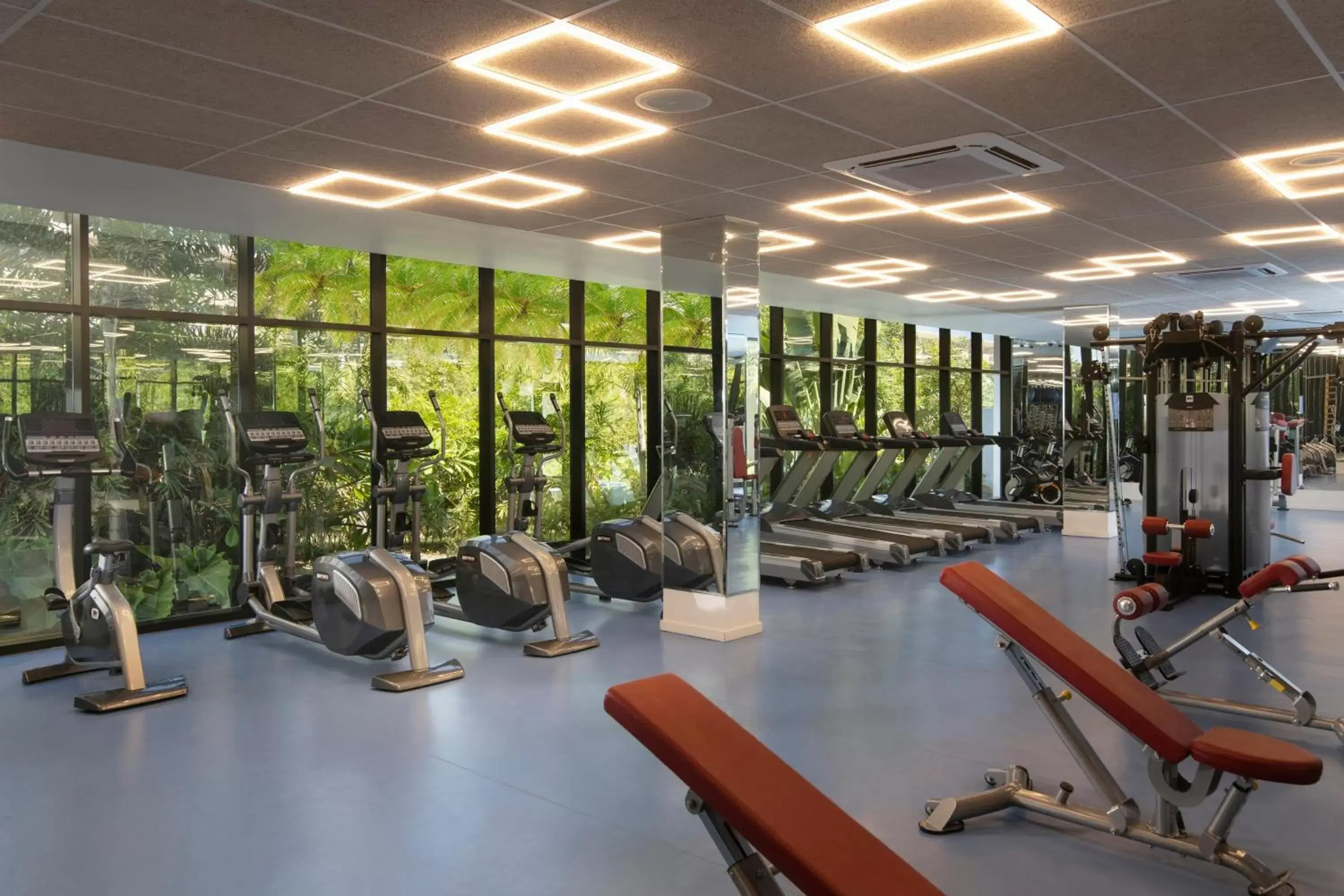 Activities, Fitness Center/Facilities in Serenade Punta Cana Beach & Spa Resort