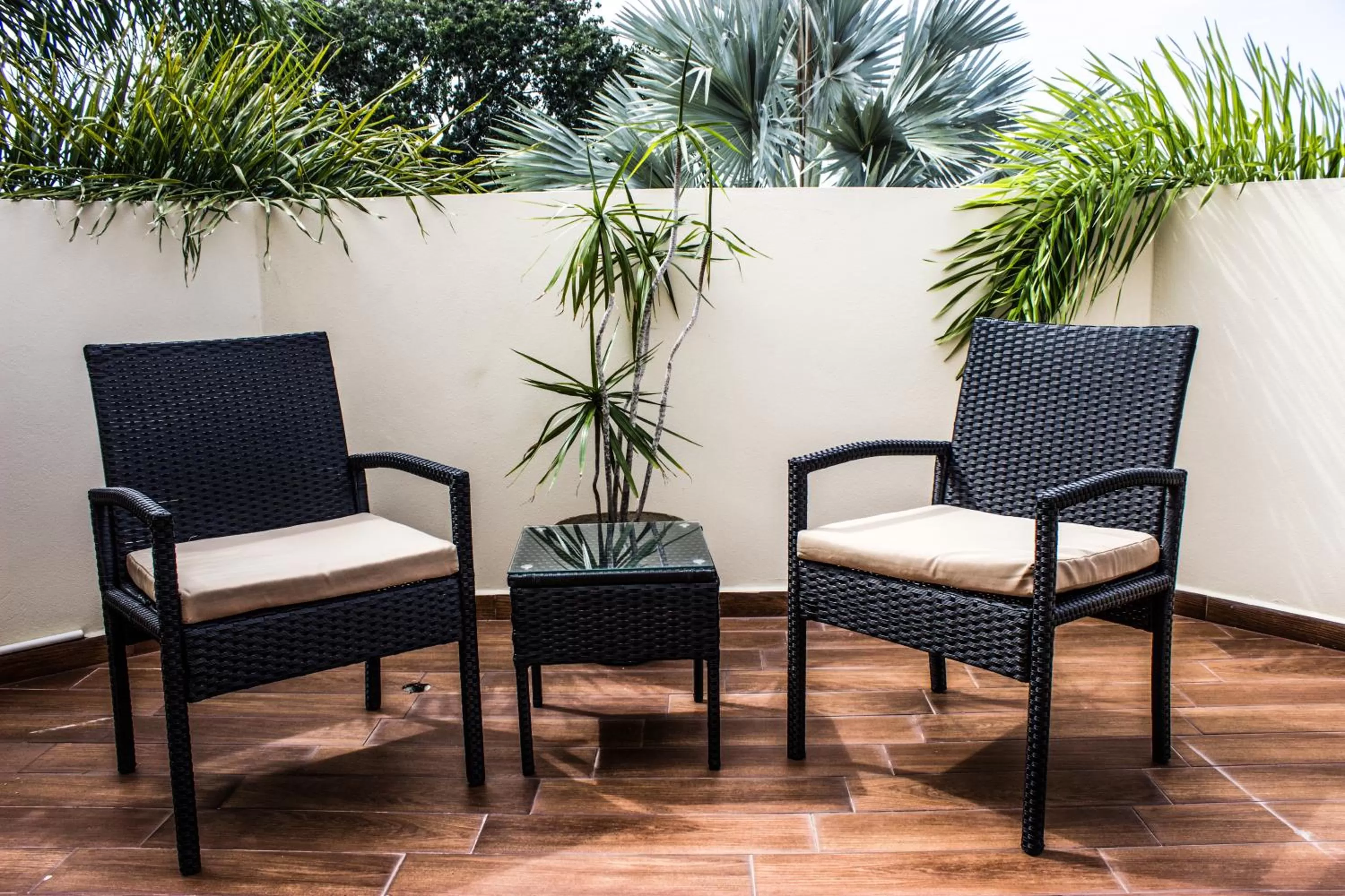 Garden view in Bella Noni B&B