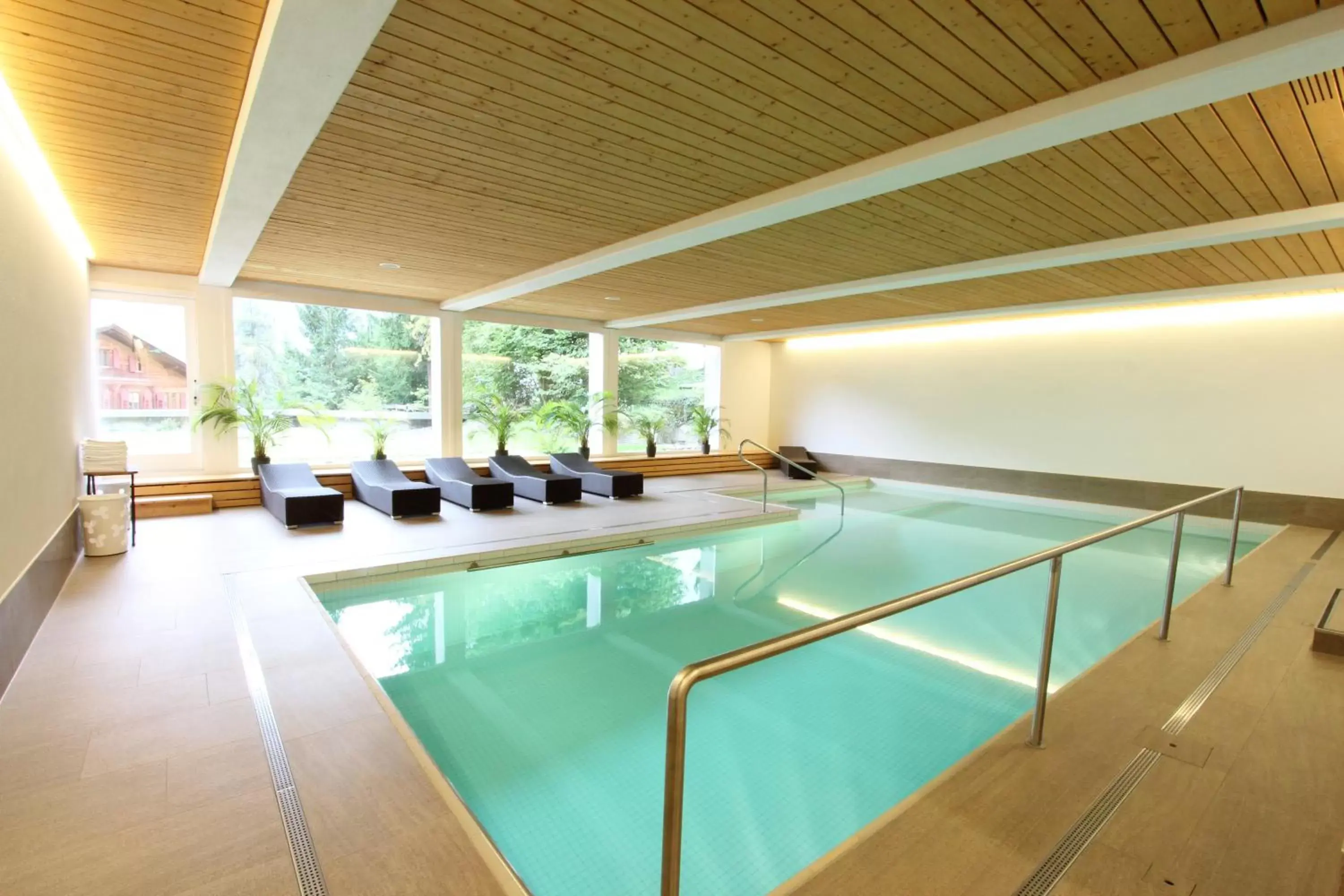 Swimming Pool in Hotel des Alpes