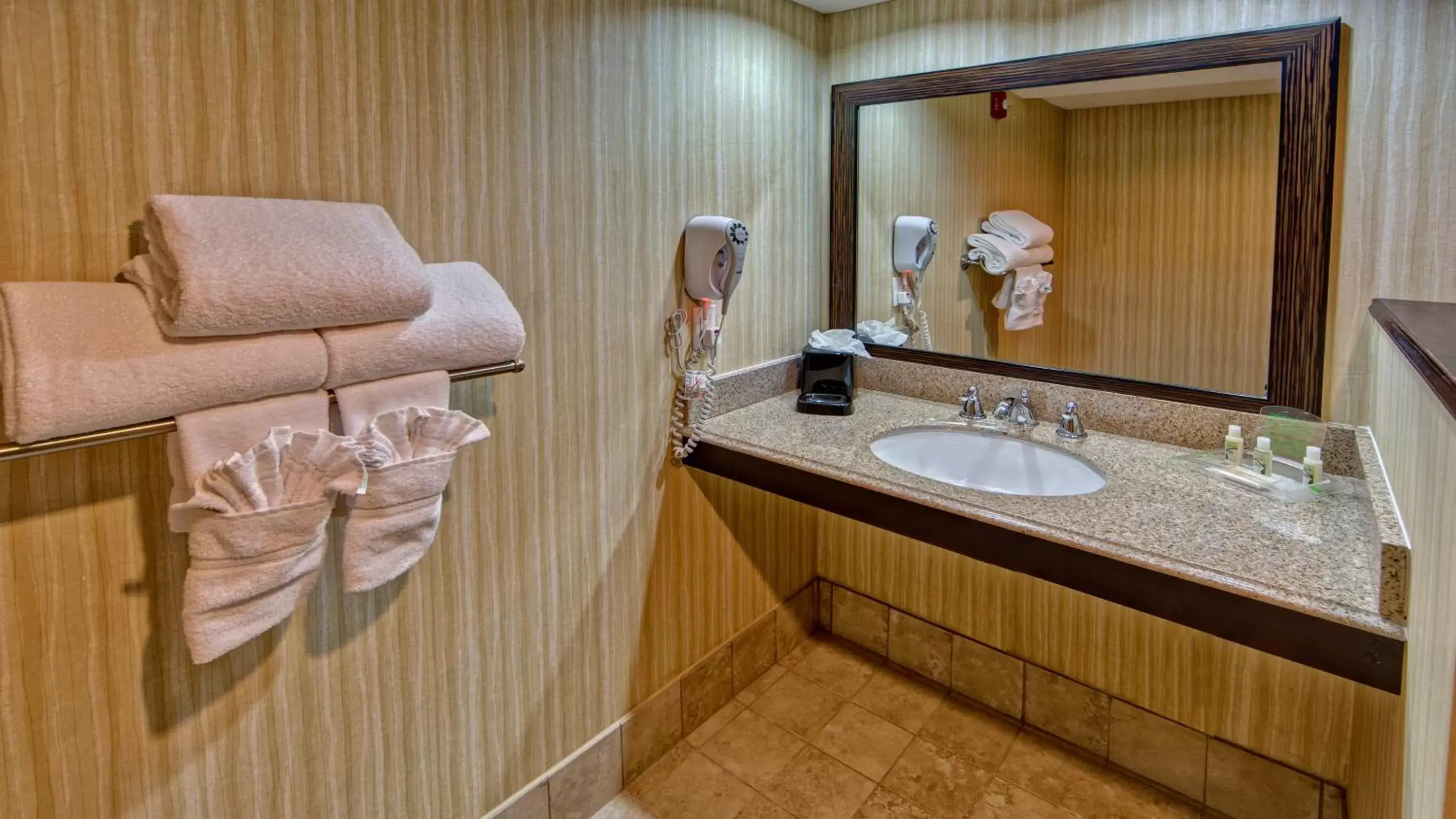 Bathroom in Clarion Hotel & Suites Conference Center Memphis Airport