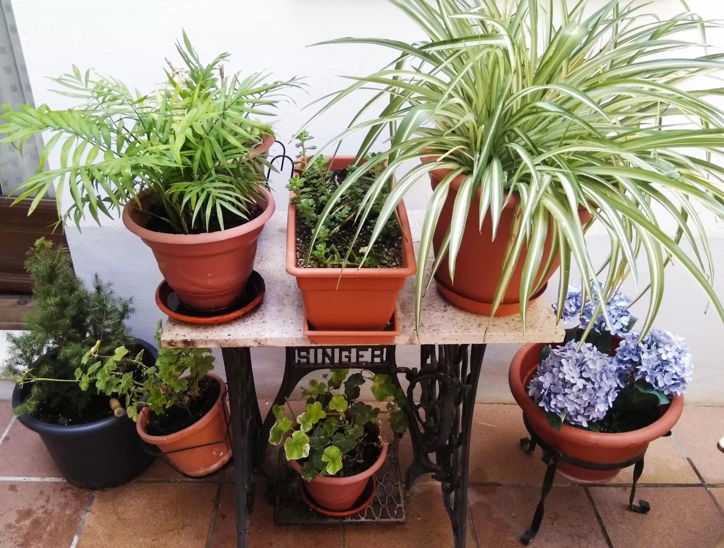 Patio in Hostal La Ribera del Júcar