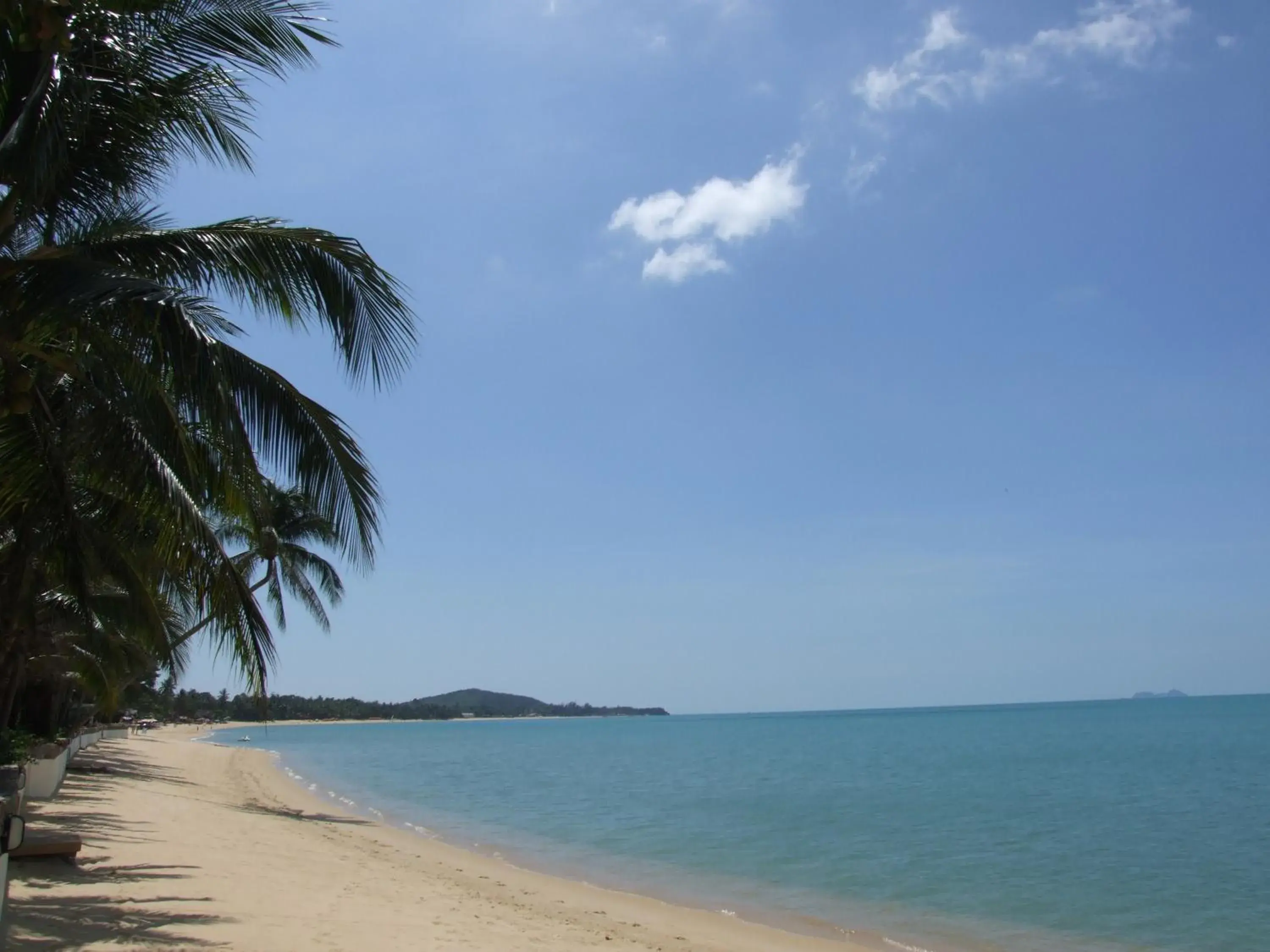 Other, Beach in Moonhut Bungalows