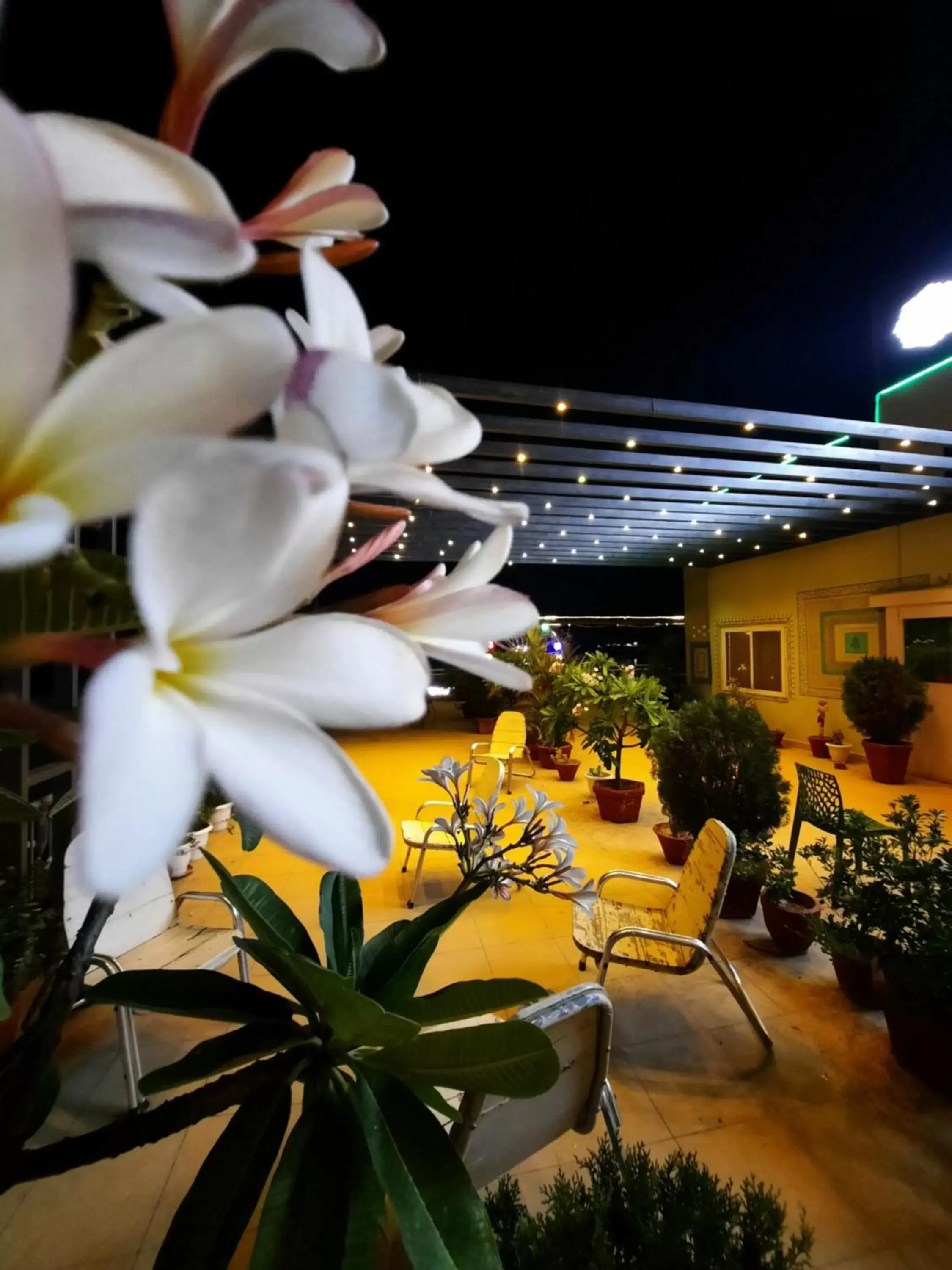 Balcony/Terrace in Hotel Temple On Ganges