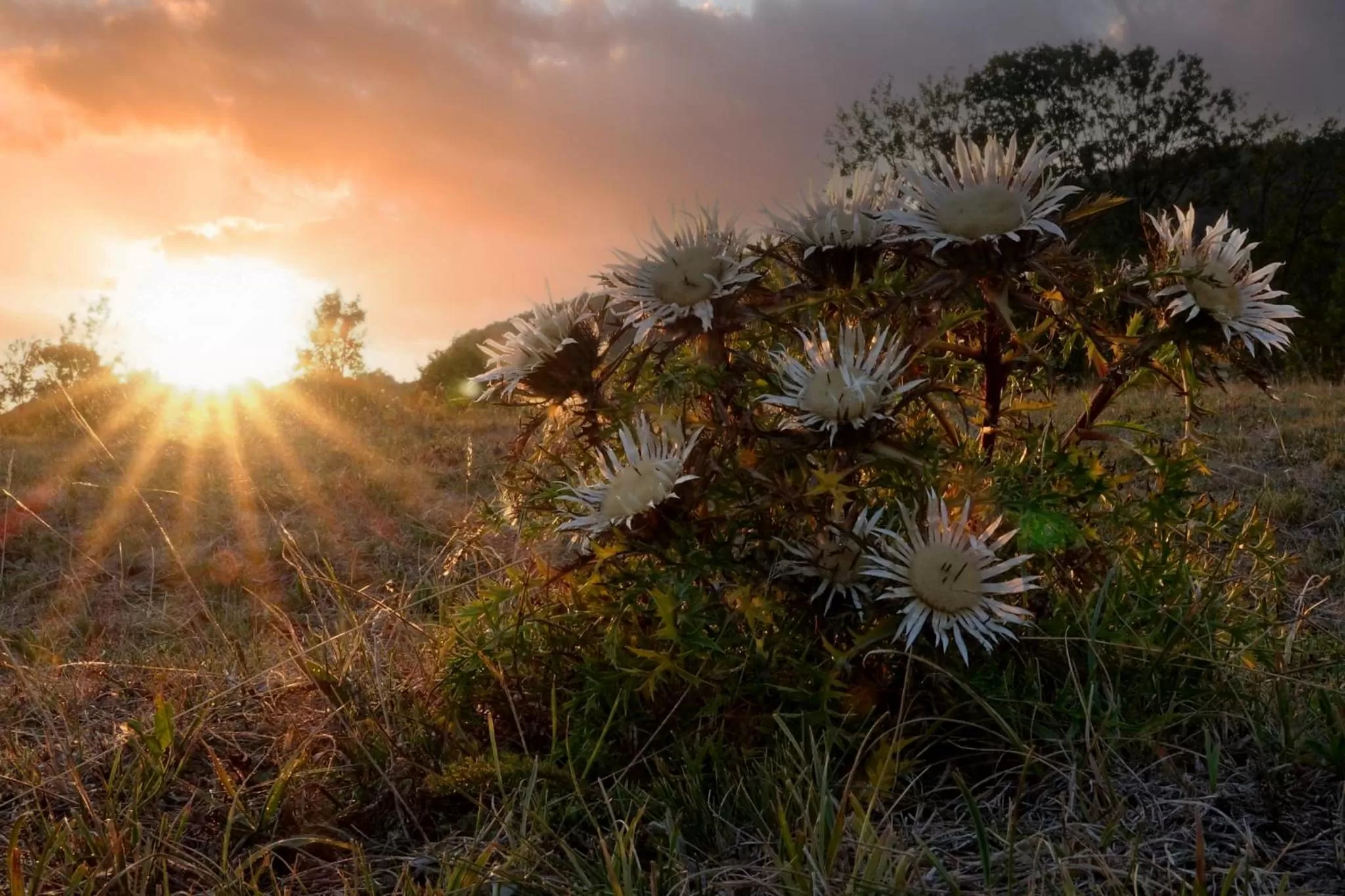 Off site in Landhotel Der Distelhof mit Scheunencafé