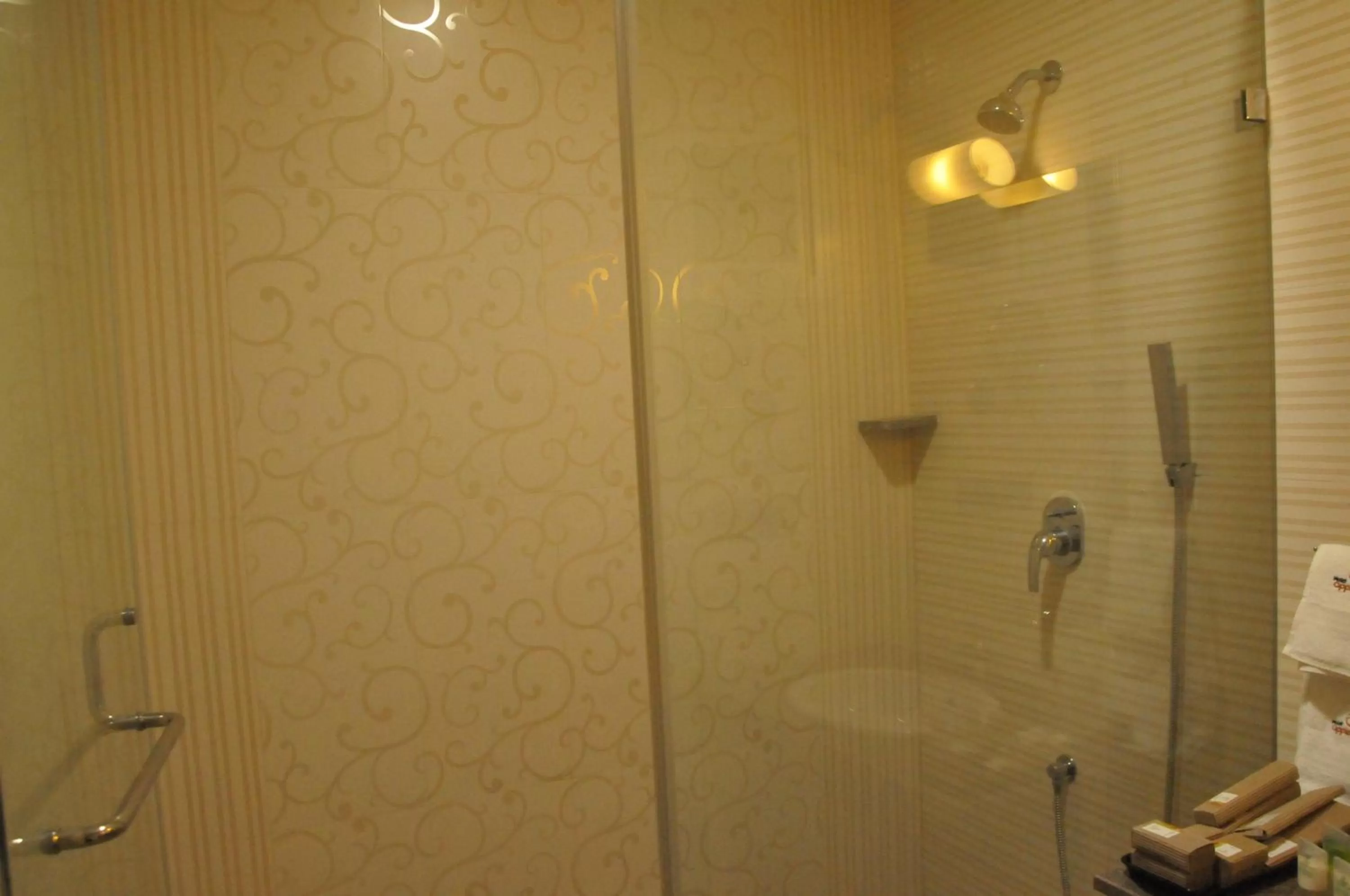 Shower in Hotel Apple Ttree