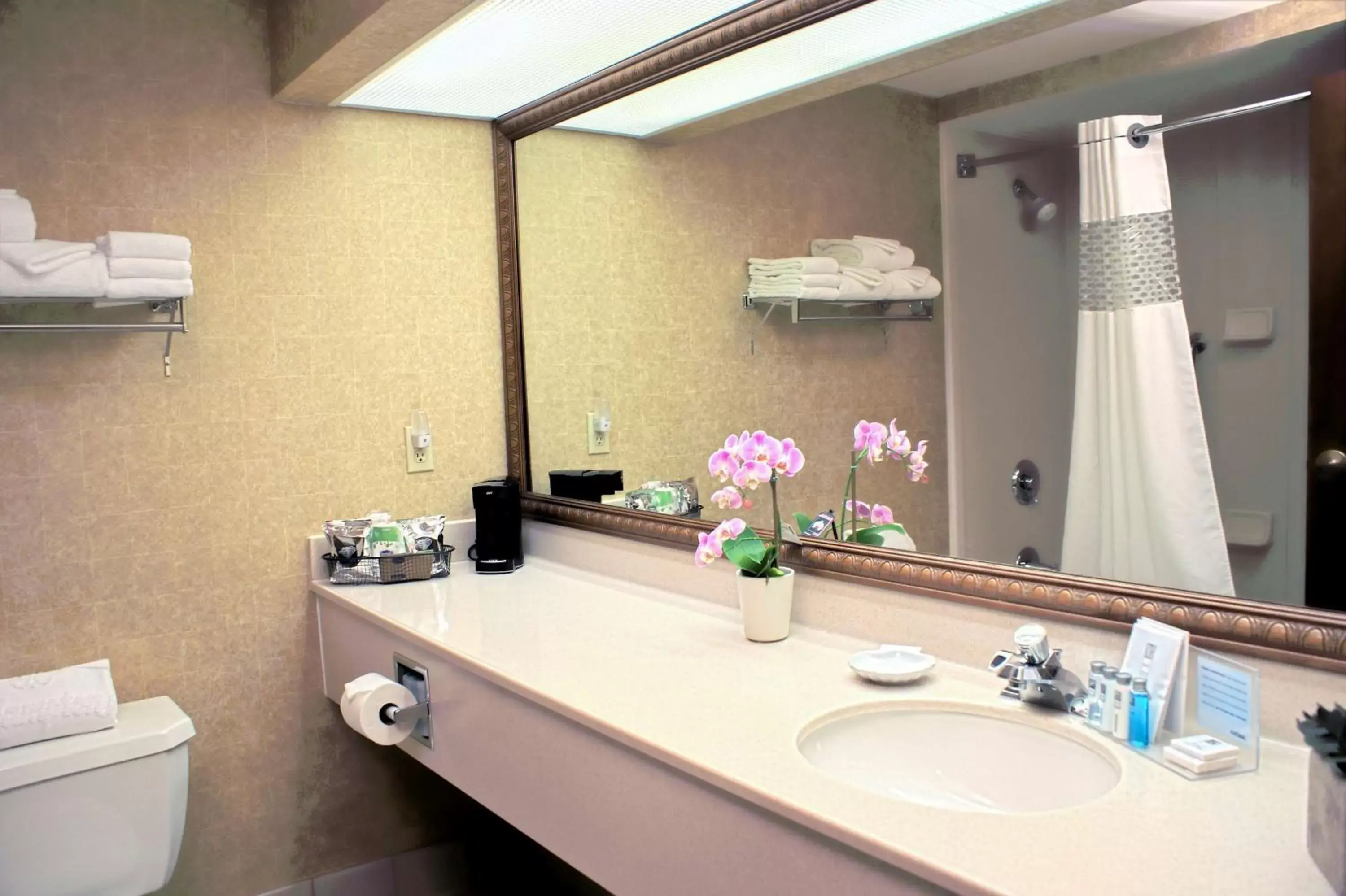 Bathroom in Hampton Inn Las Vegas/Summerlin