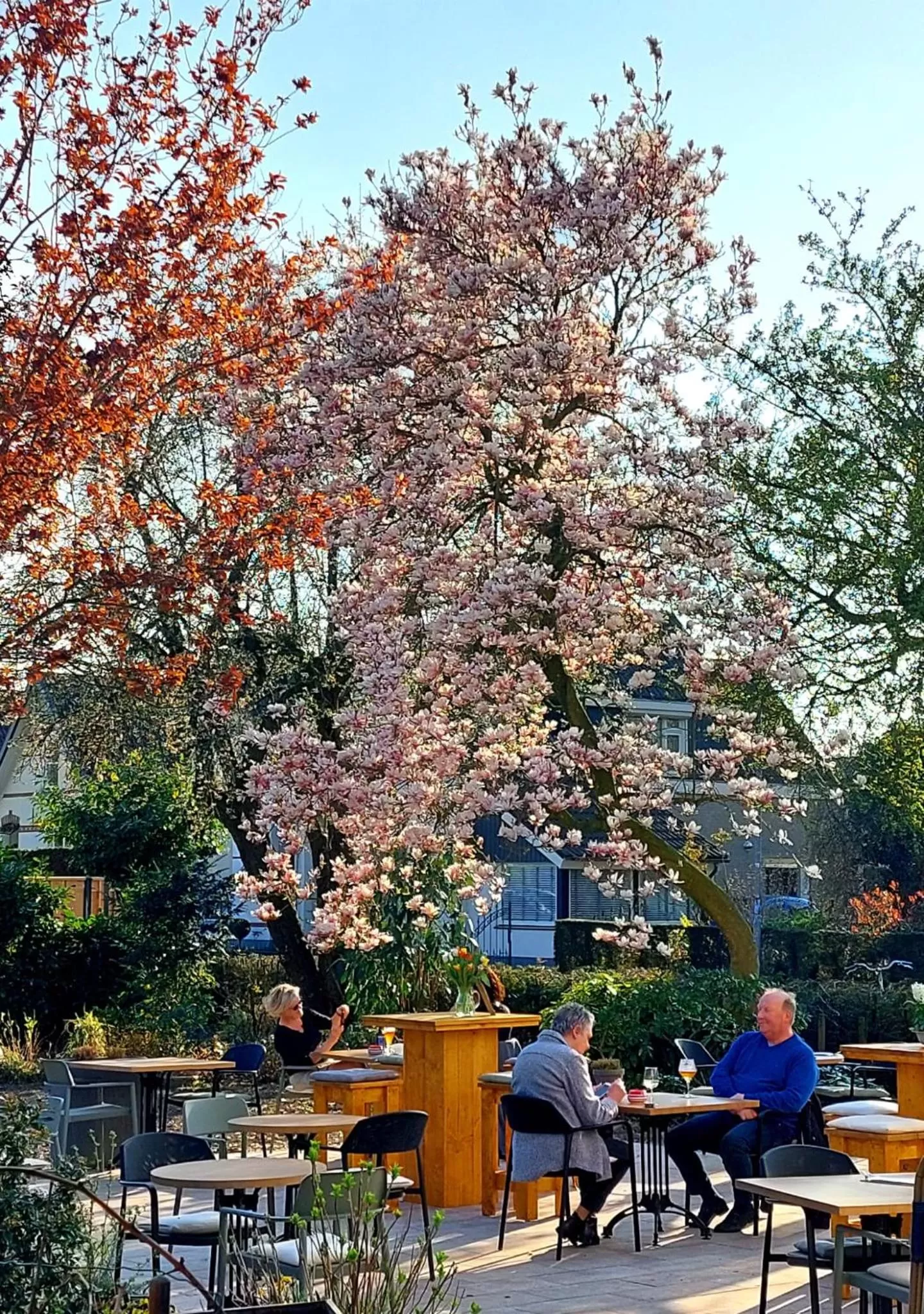 Balcony/Terrace in Hotel De Gravin van Vorden