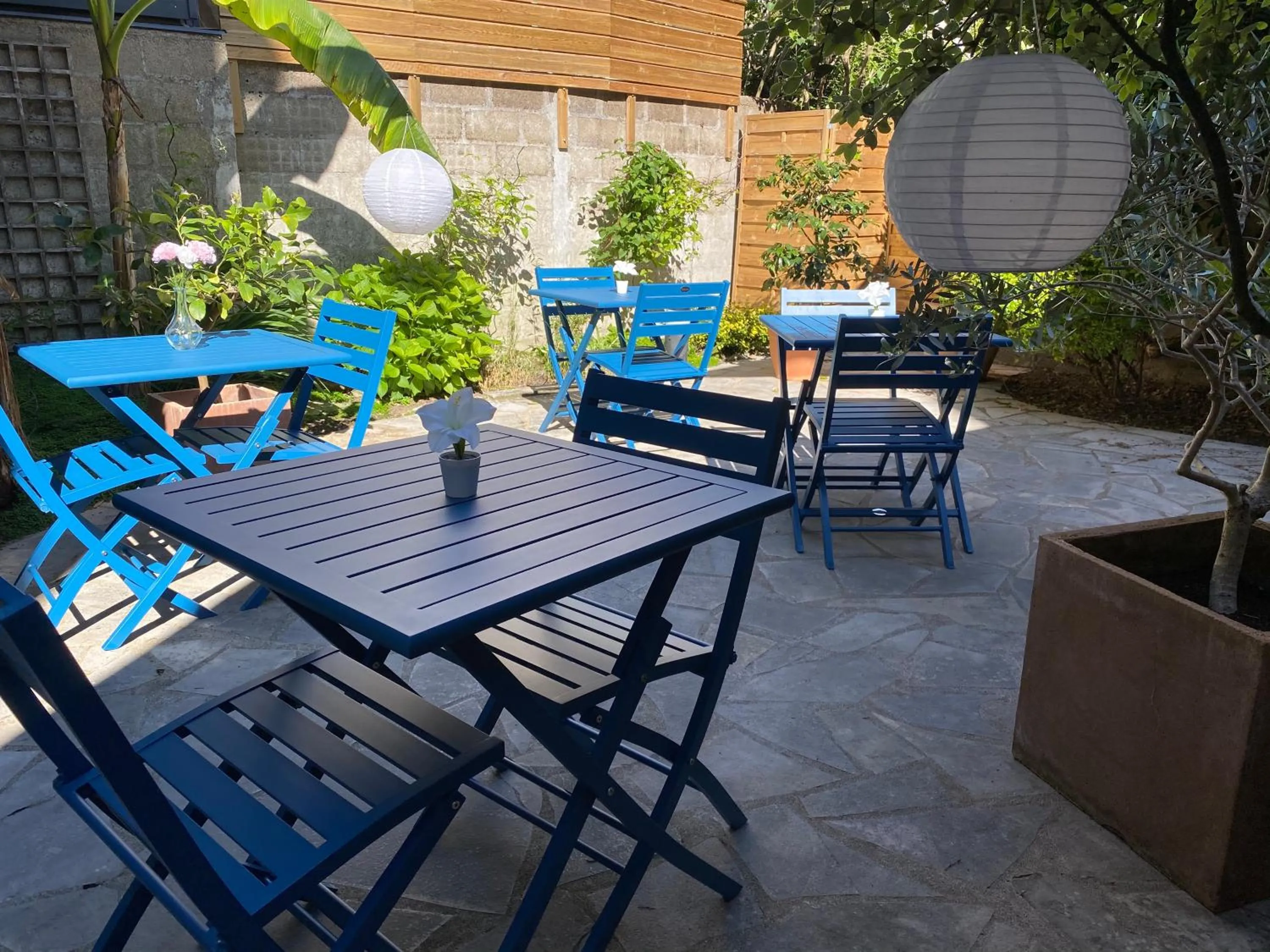 Patio in Hotel Colbert