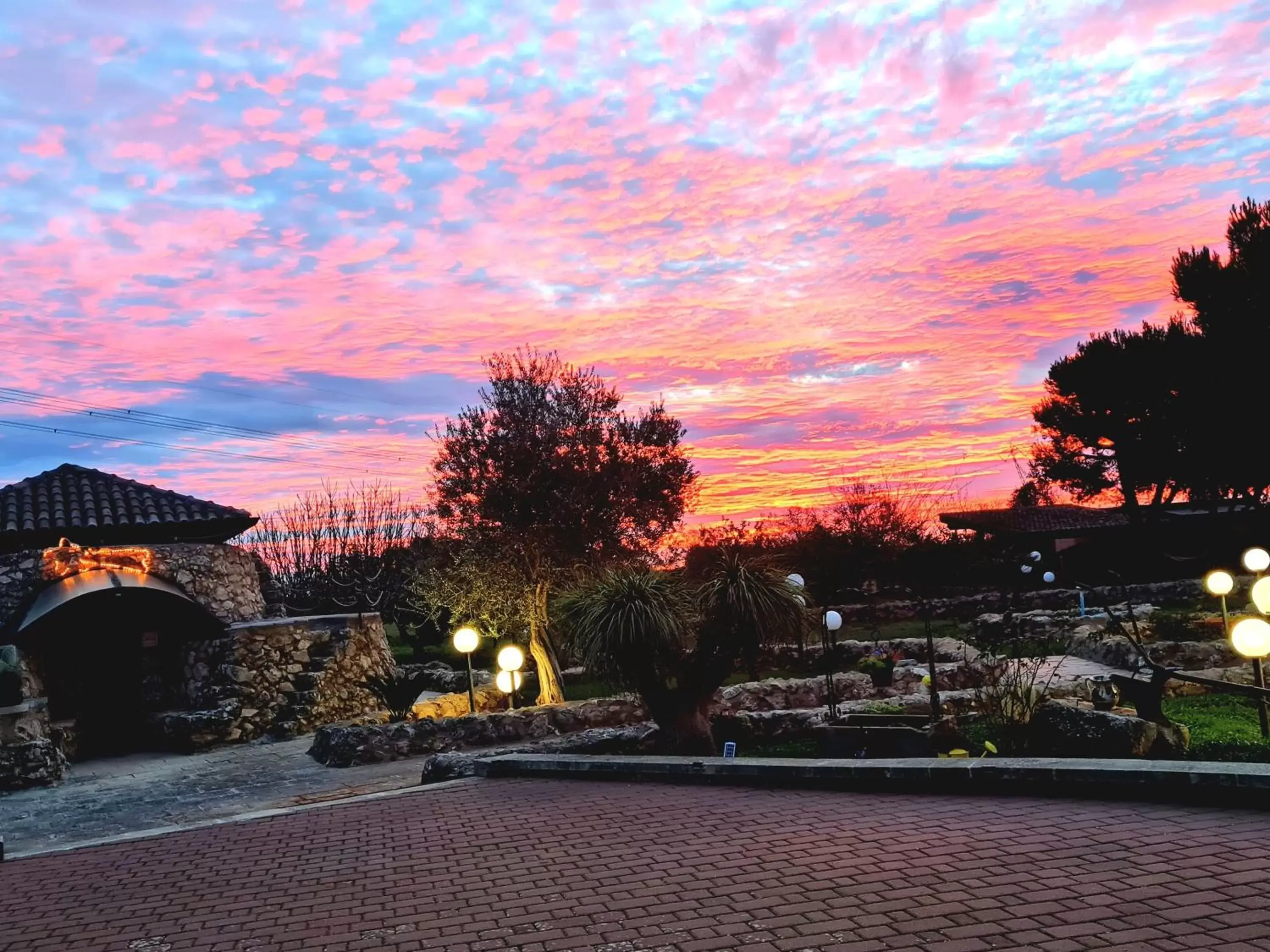 Garden in Hotel Villa Elisabetta