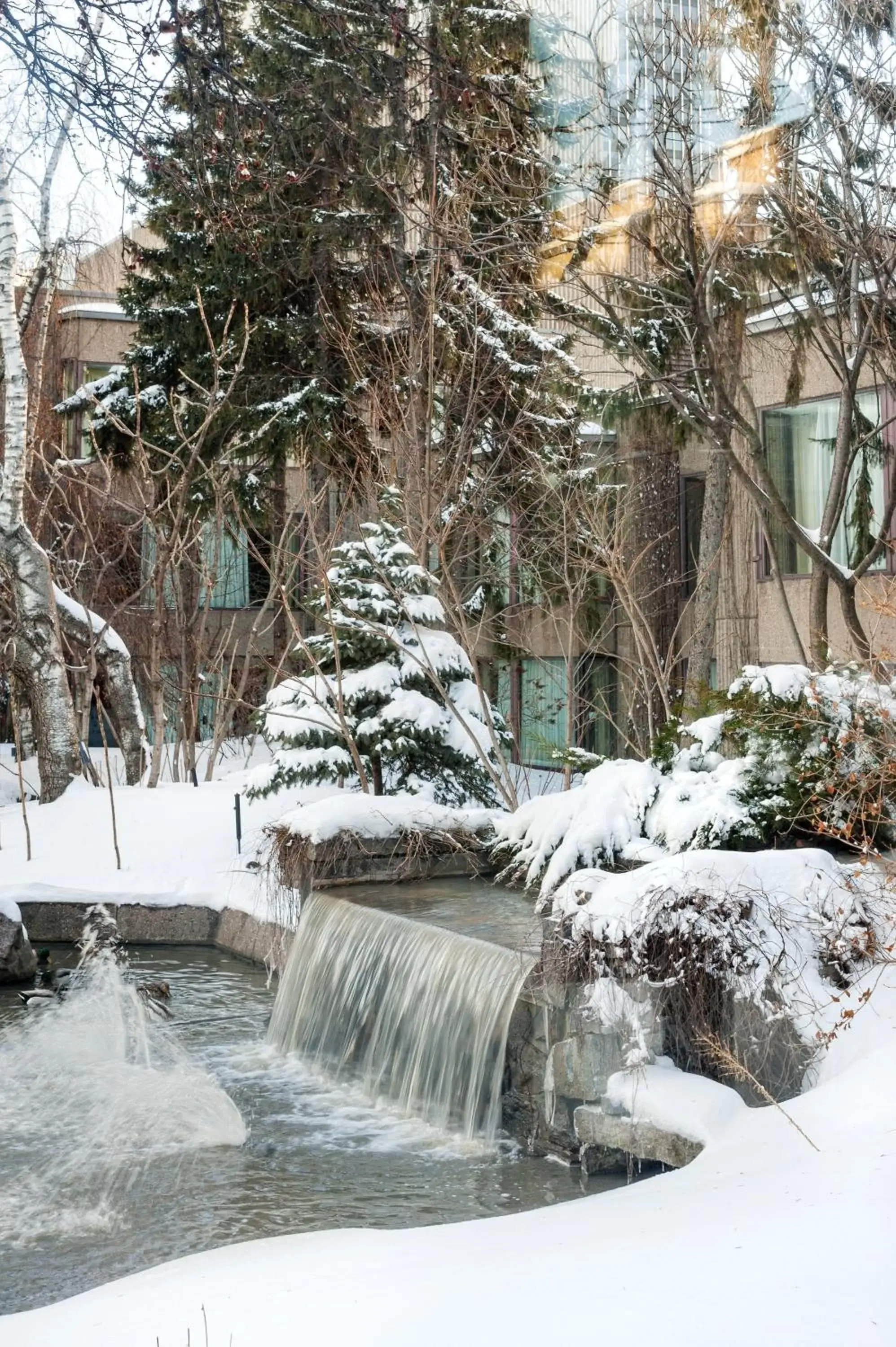 Garden view, Winter in Hotel Bonaventure Montreal