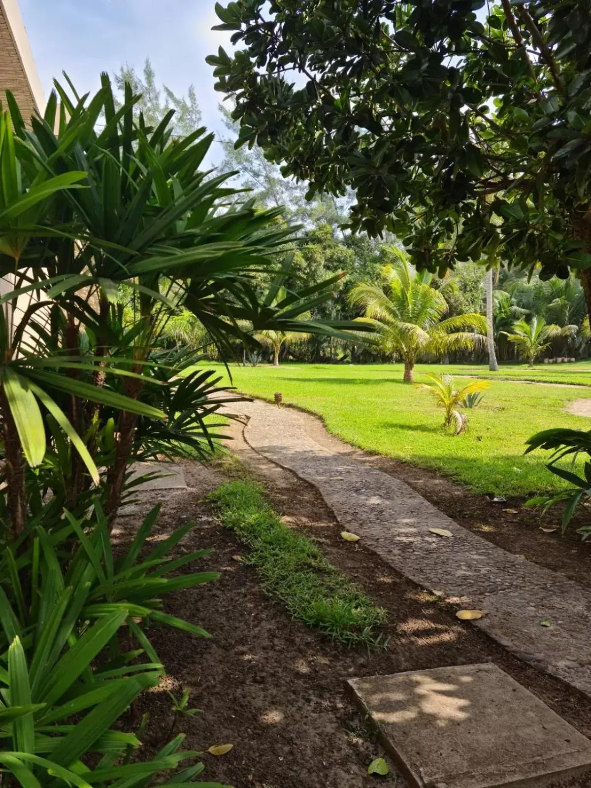 Garden view, Garden in Isla Tajín