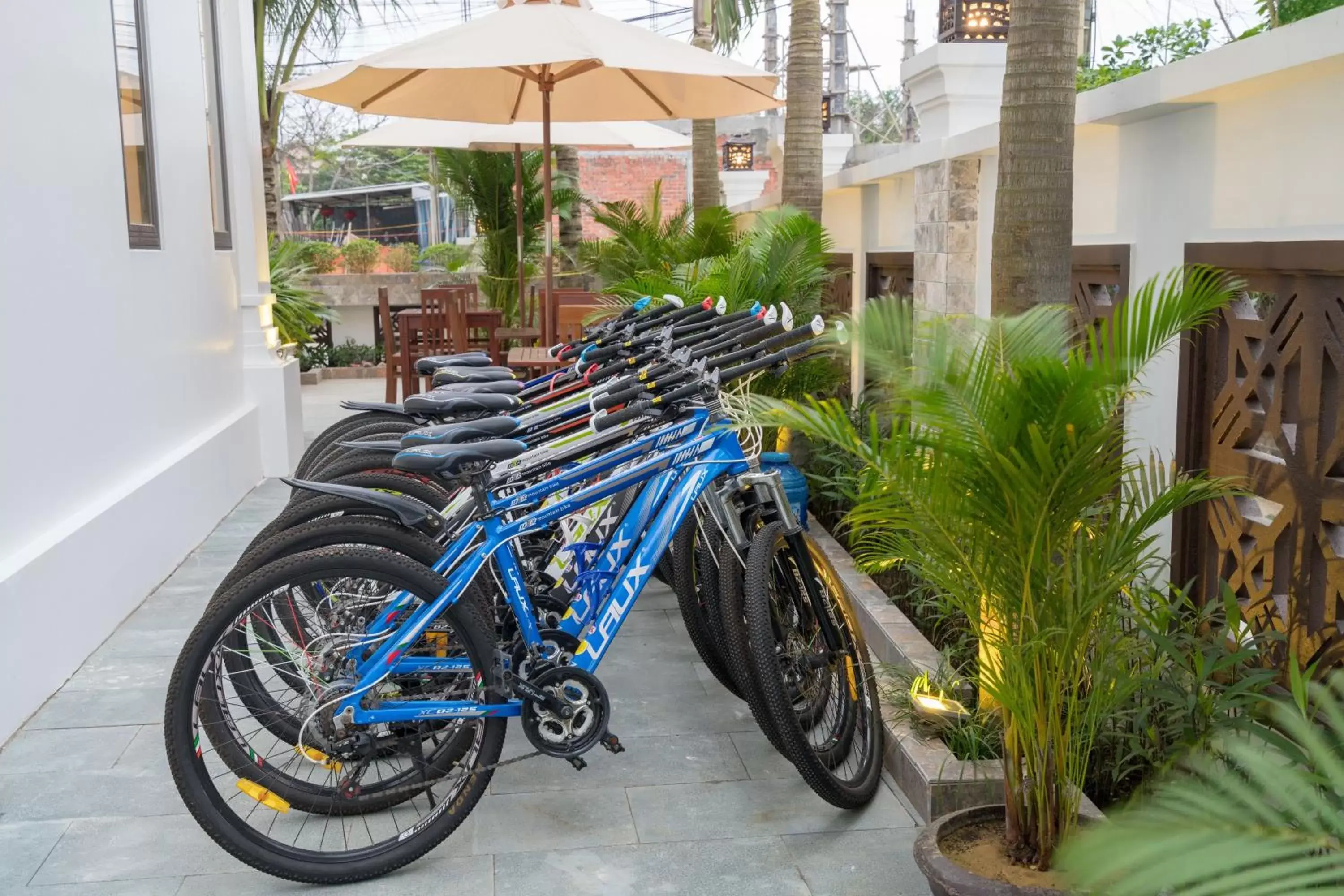 Cycling in Hoi An Discovery Villa