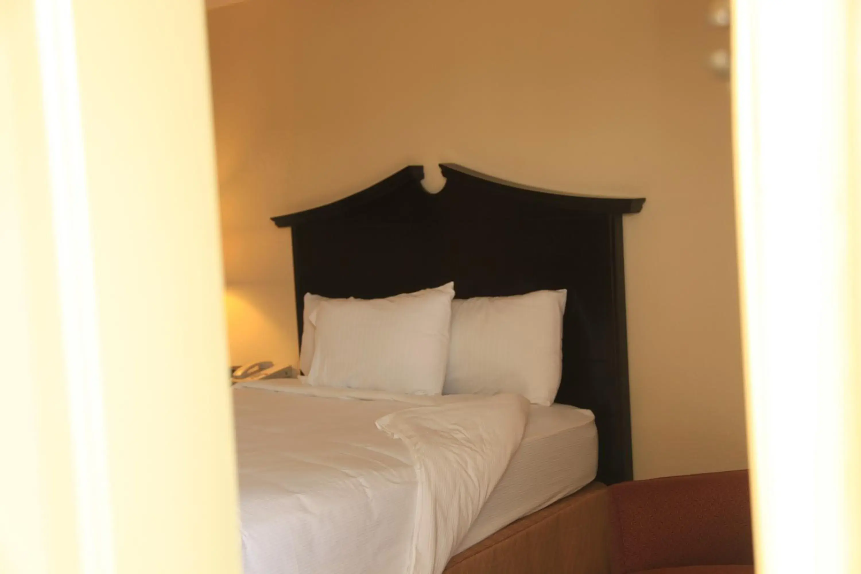 Bed in Plaza Inn Midland Bed in Plaza Inn Midland