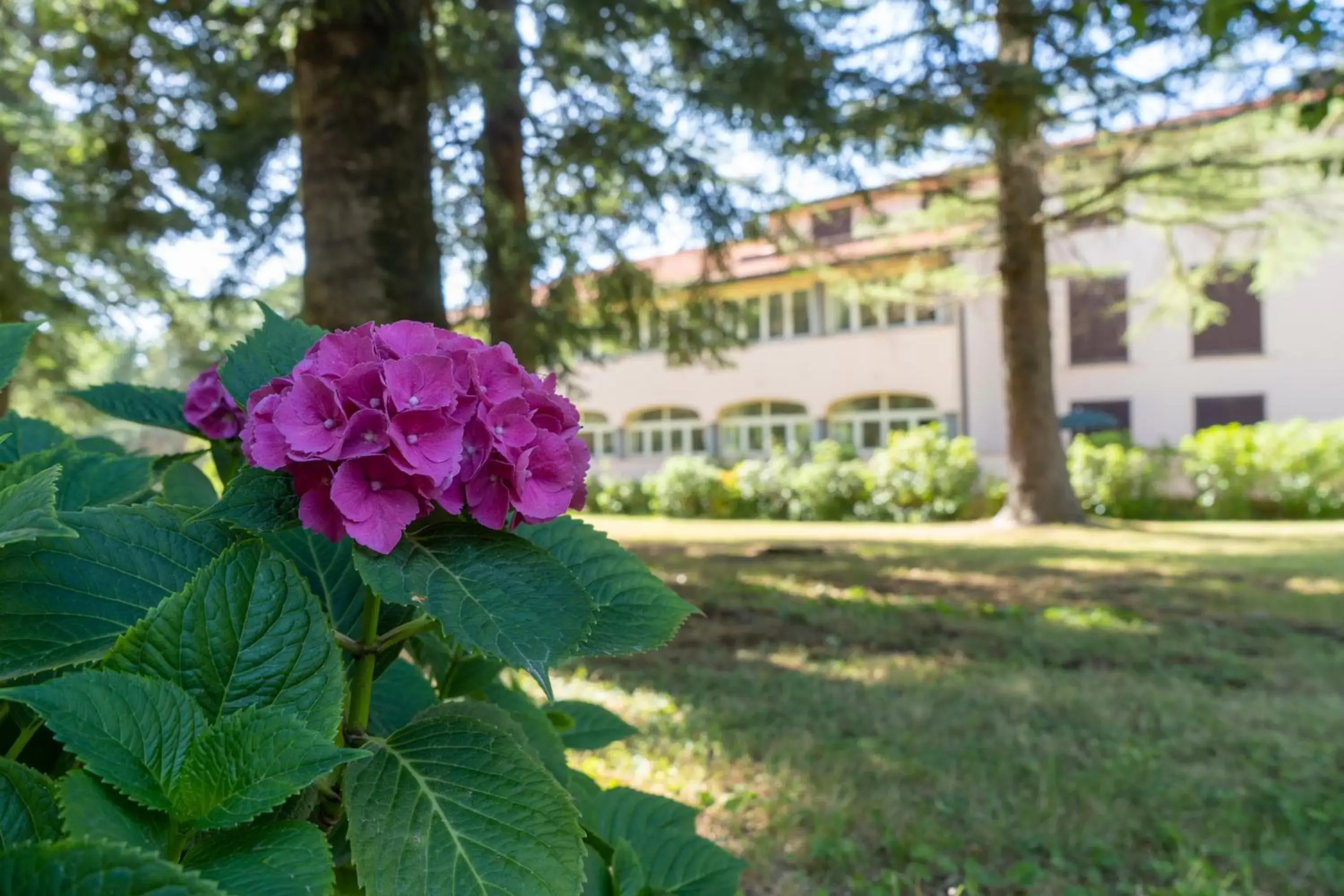 Garden in Toscana Wellness Resort