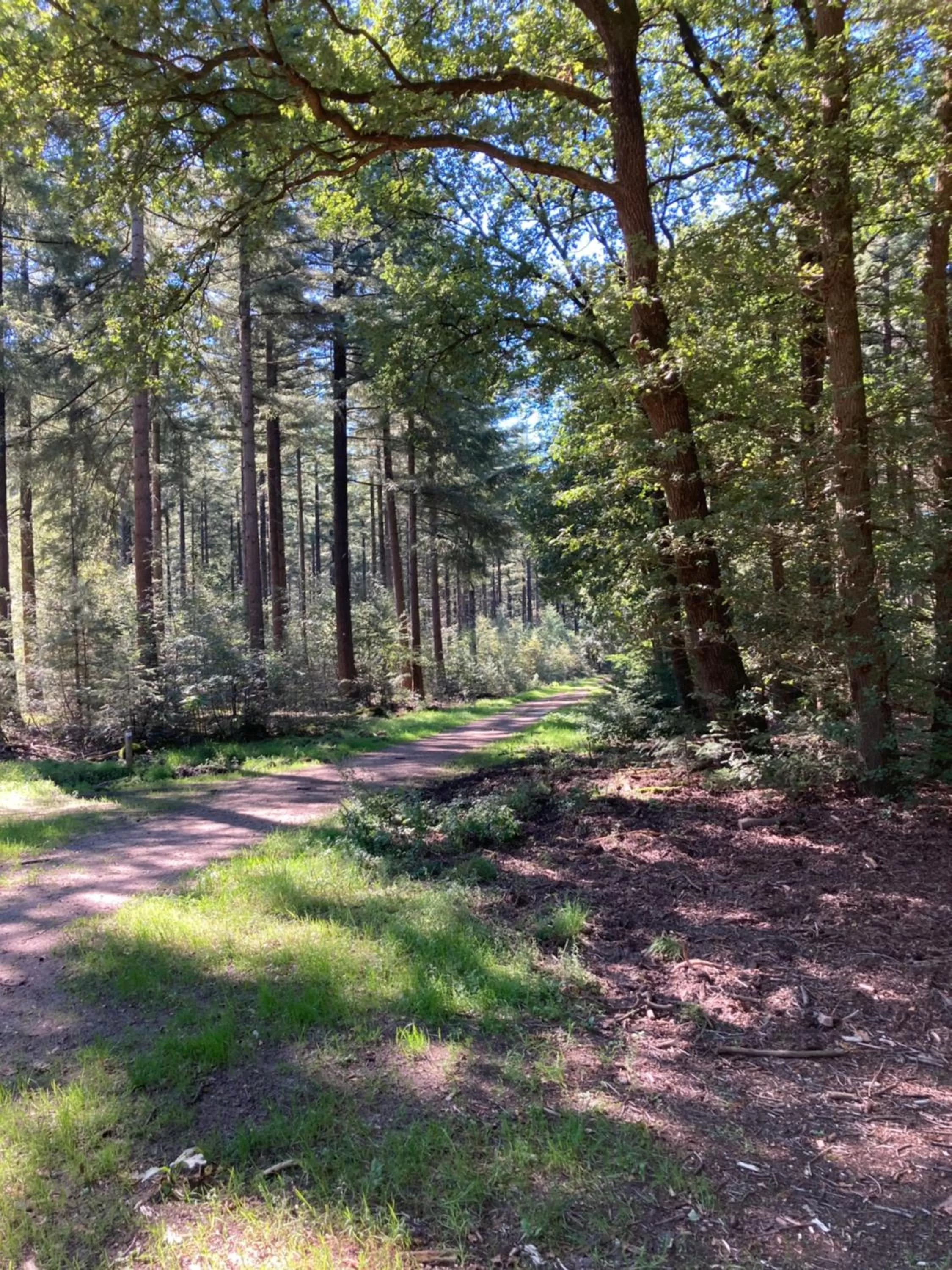 Bed & Breakfast Hoeve Happiness