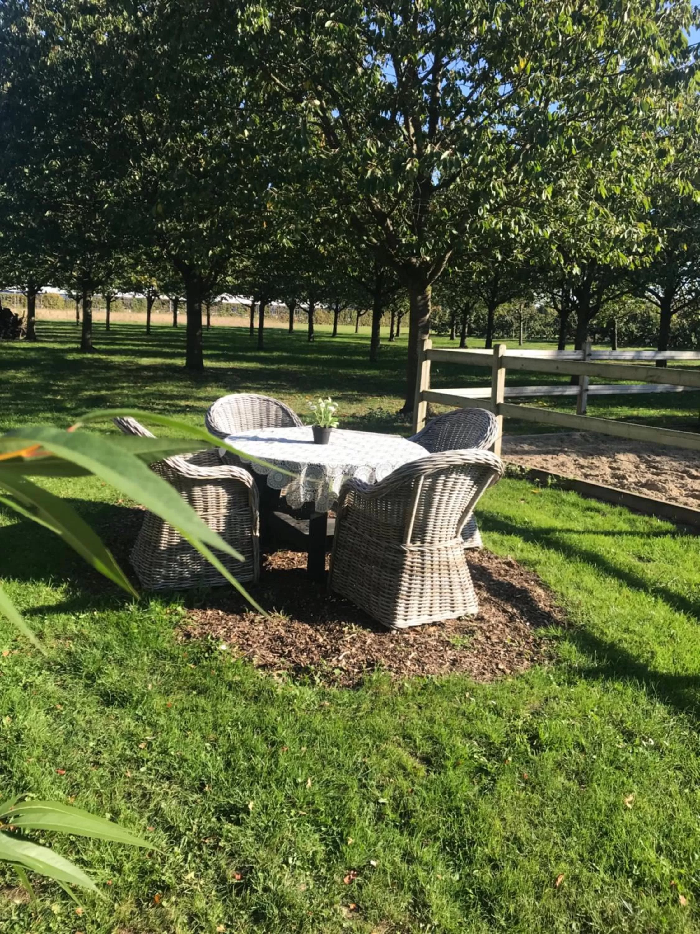 Garden in De Oosterling