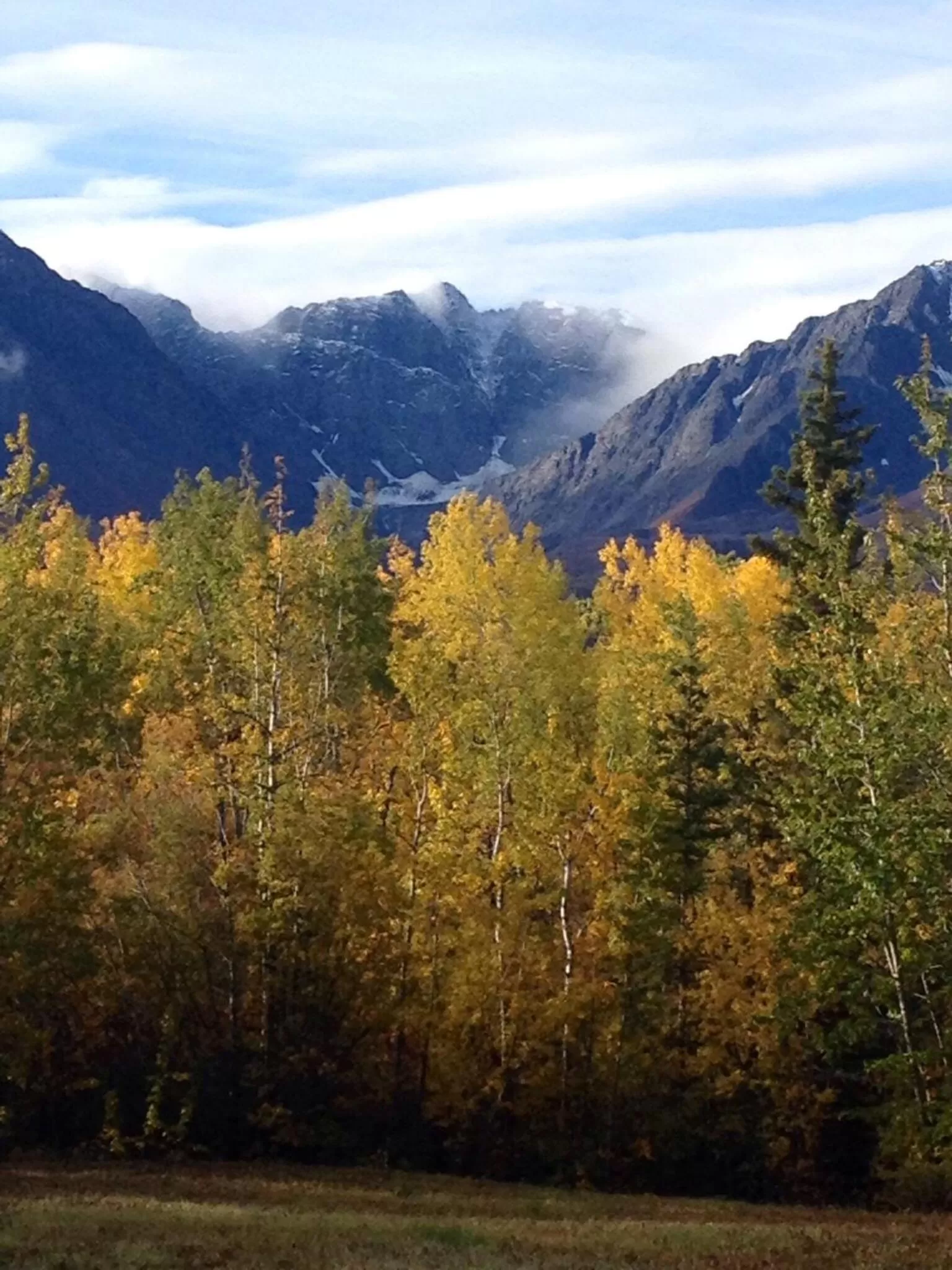 Area and facilities in Parkside Inn