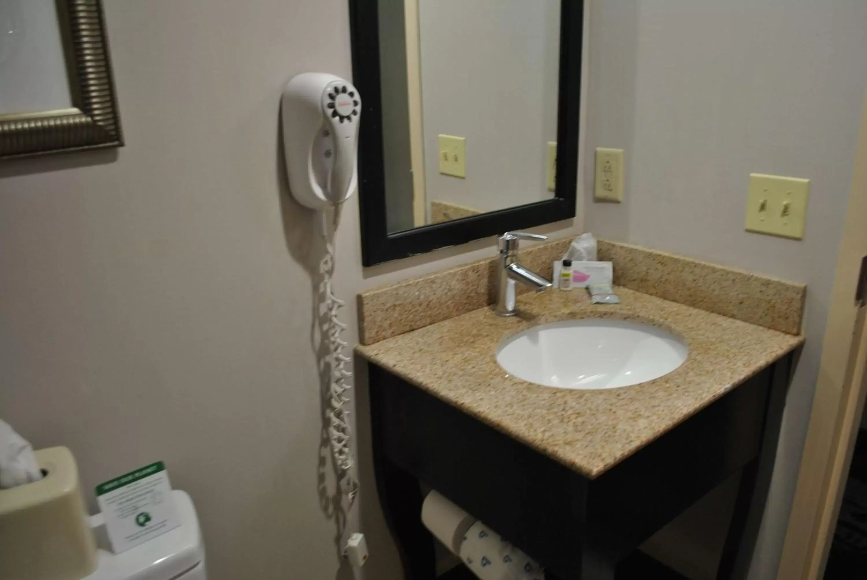 Bathroom in Best Western Owego Inn