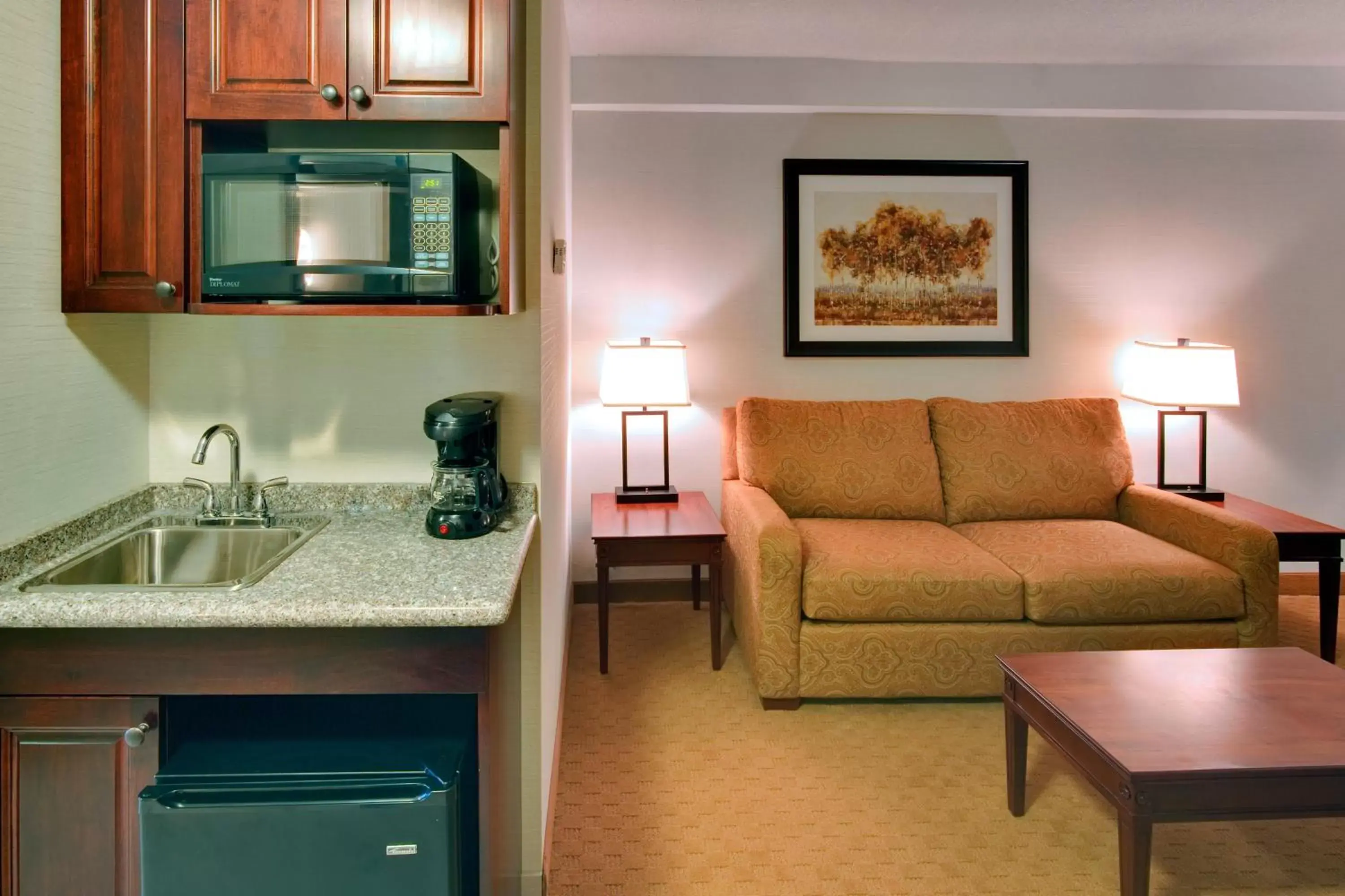 Photo of the whole room, Kitchen/Kitchenette in Holiday Inn Express Hotel & Suites Brockville, an IHG Hotel