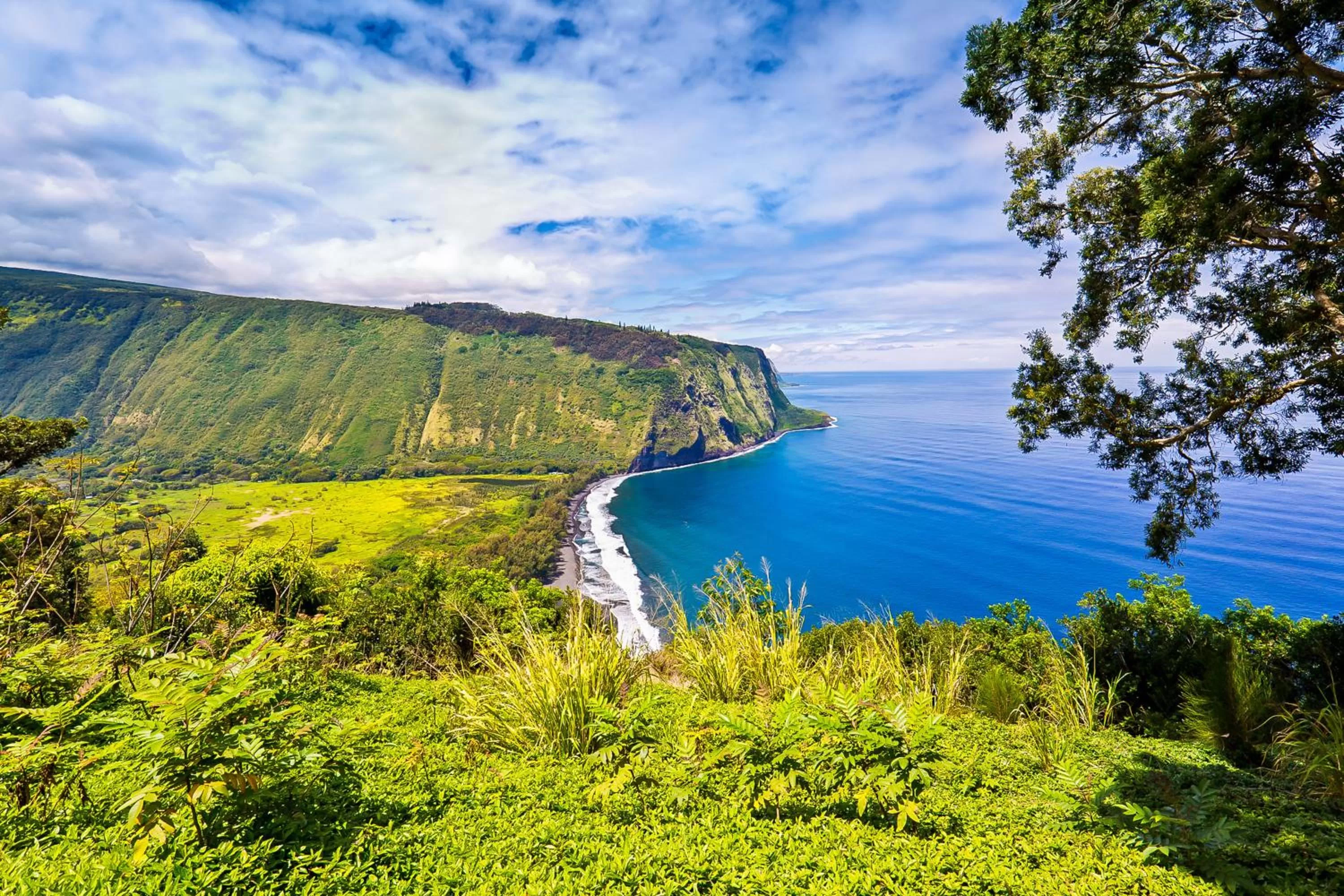 Natural Landscape in Kona Bali Kai #334